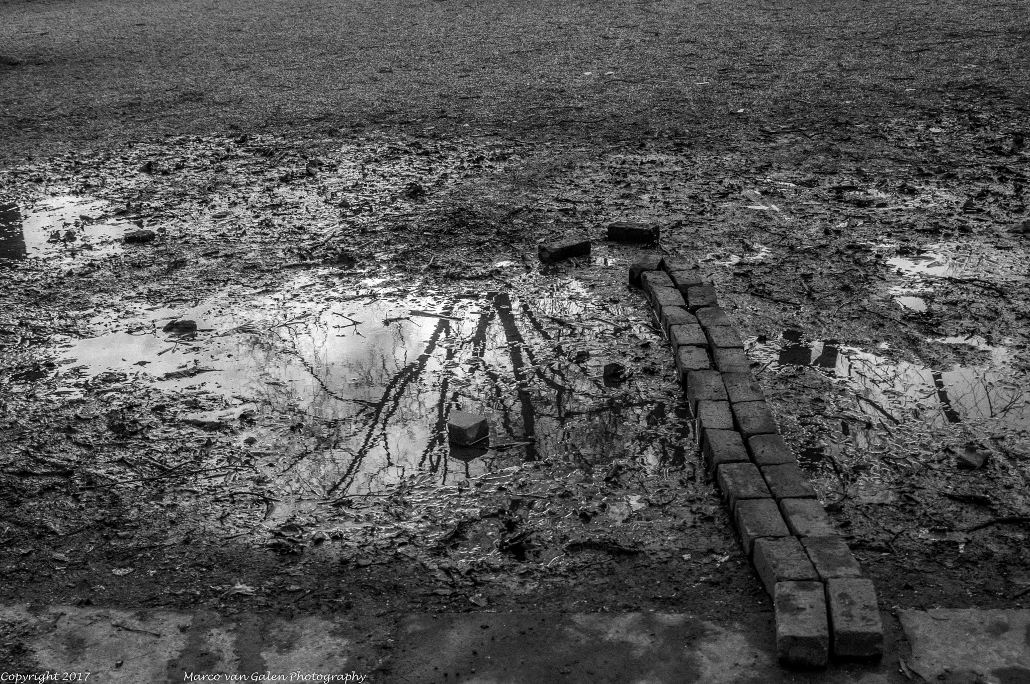 Nikon D300S sample photo. Reflection photography