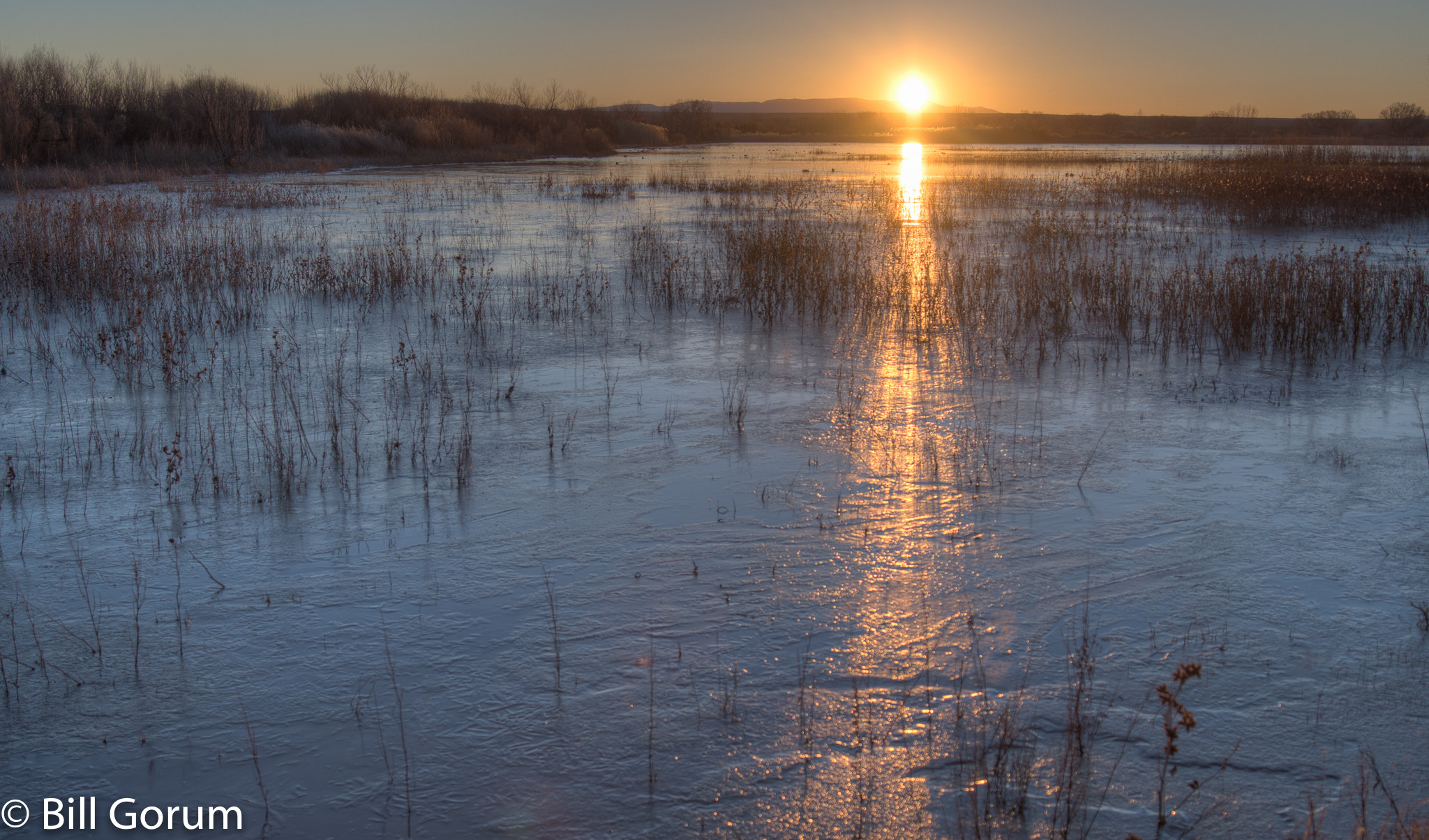 Nikon D500 + Nikon AF-S Nikkor 24-85mm F3.5-4.5G ED VR sample photo. Sunrise over a frozen marsh photography