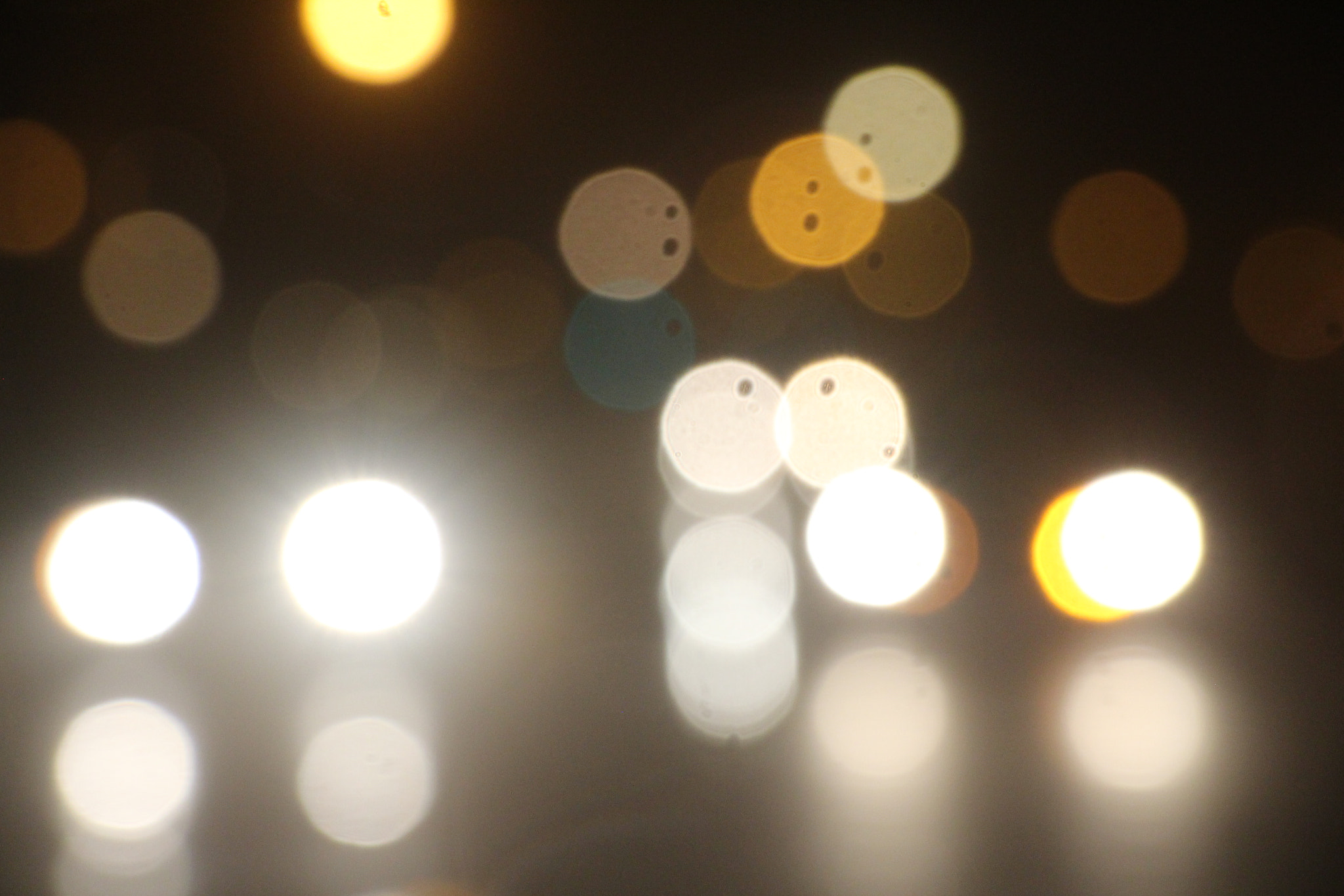 Canon EF 50mm f/1.8 sample photo. Pleasure photography