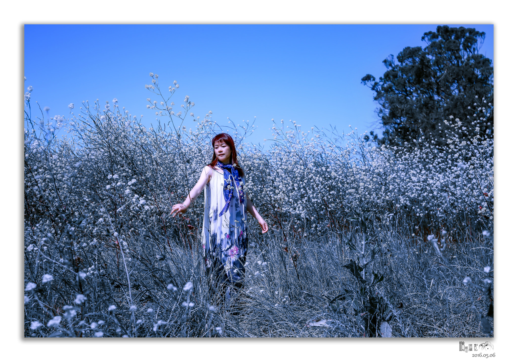 Canon EF 16-35mm F4L IS USM sample photo. 一号公路 photography