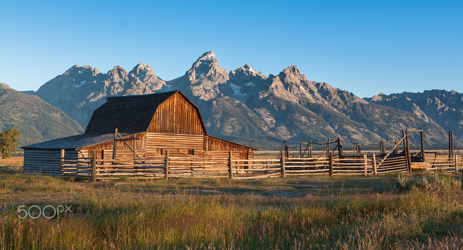 Canon EOS 500D (EOS Rebel T1i / EOS Kiss X3) sample photo. Morning view of moulton barn and tetons photography
