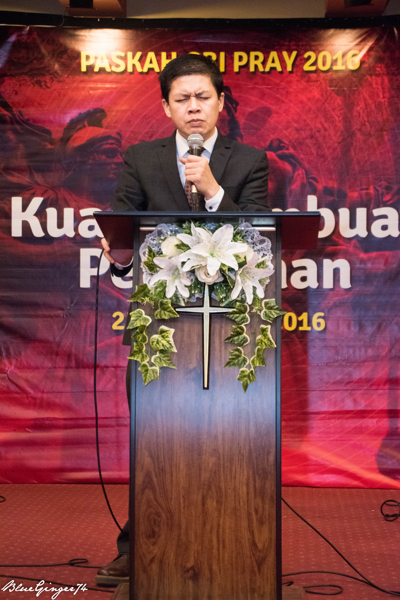Nikon D5500 sample photo. 26154478745.jpg photography