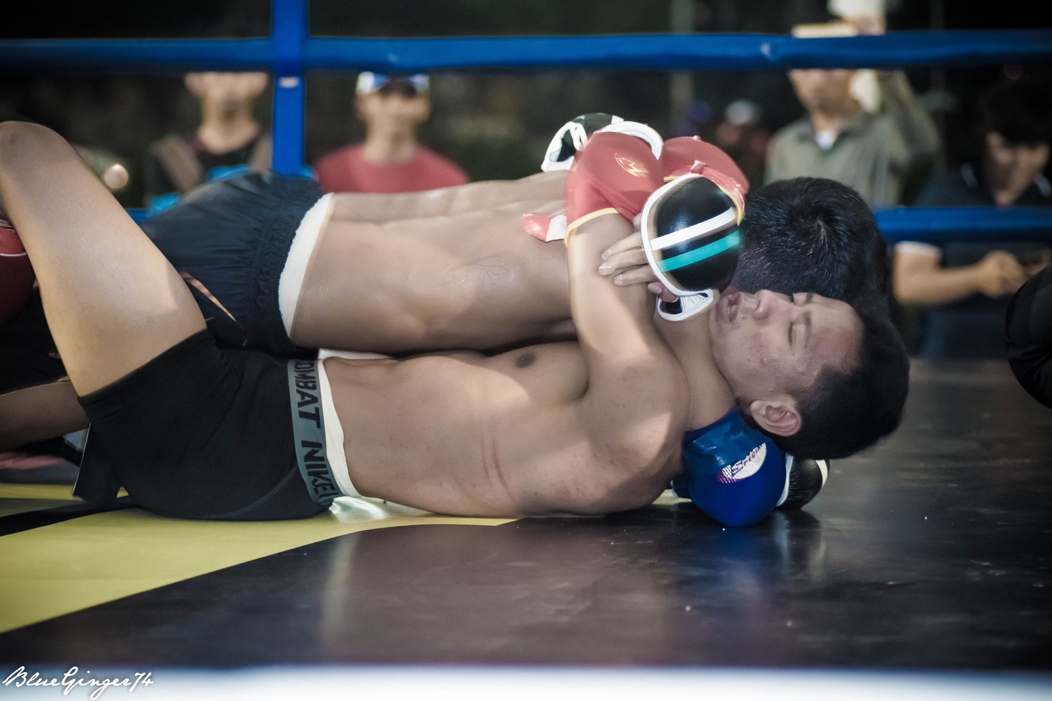 Nikon D5500 sample photo. 24984903163.jpg photography
