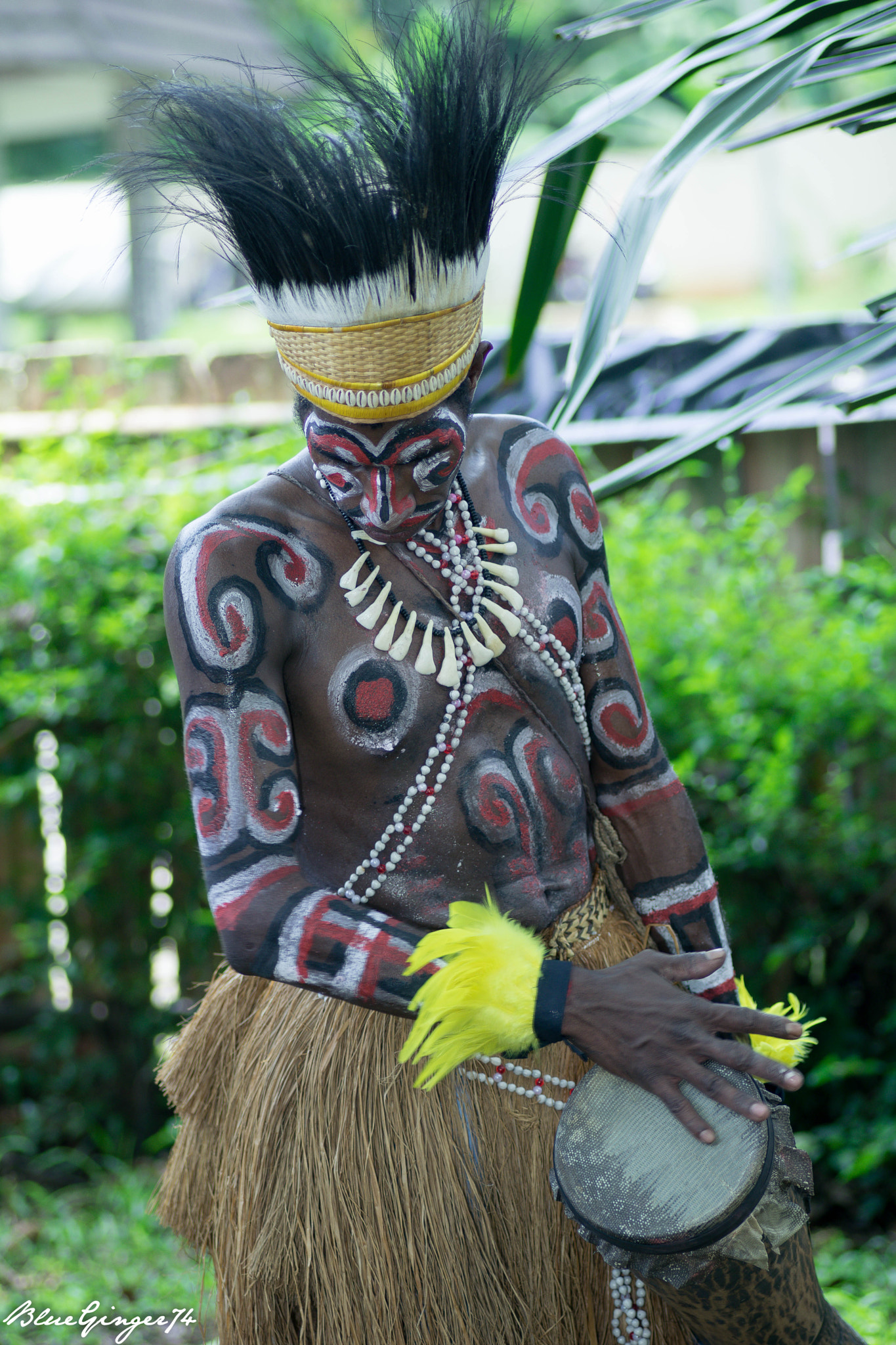 Nikon D5500 sample photo. 24461244324.jpg photography
