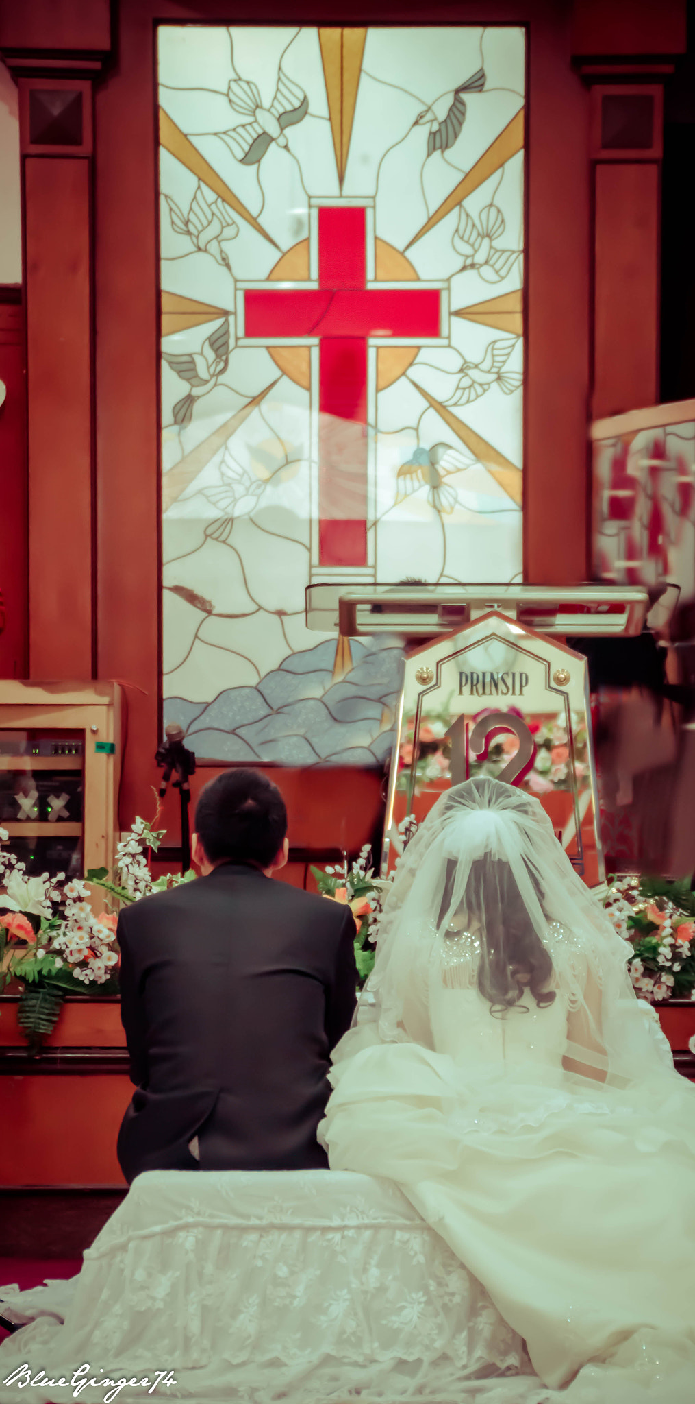 Nikon D5500 sample photo. 24127401860.jpg photography