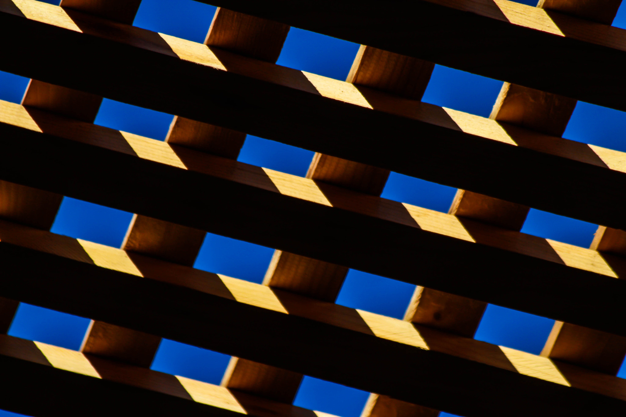 Canon EF 70-300mm F4-5.6 IS USM sample photo. Inspiration... photography