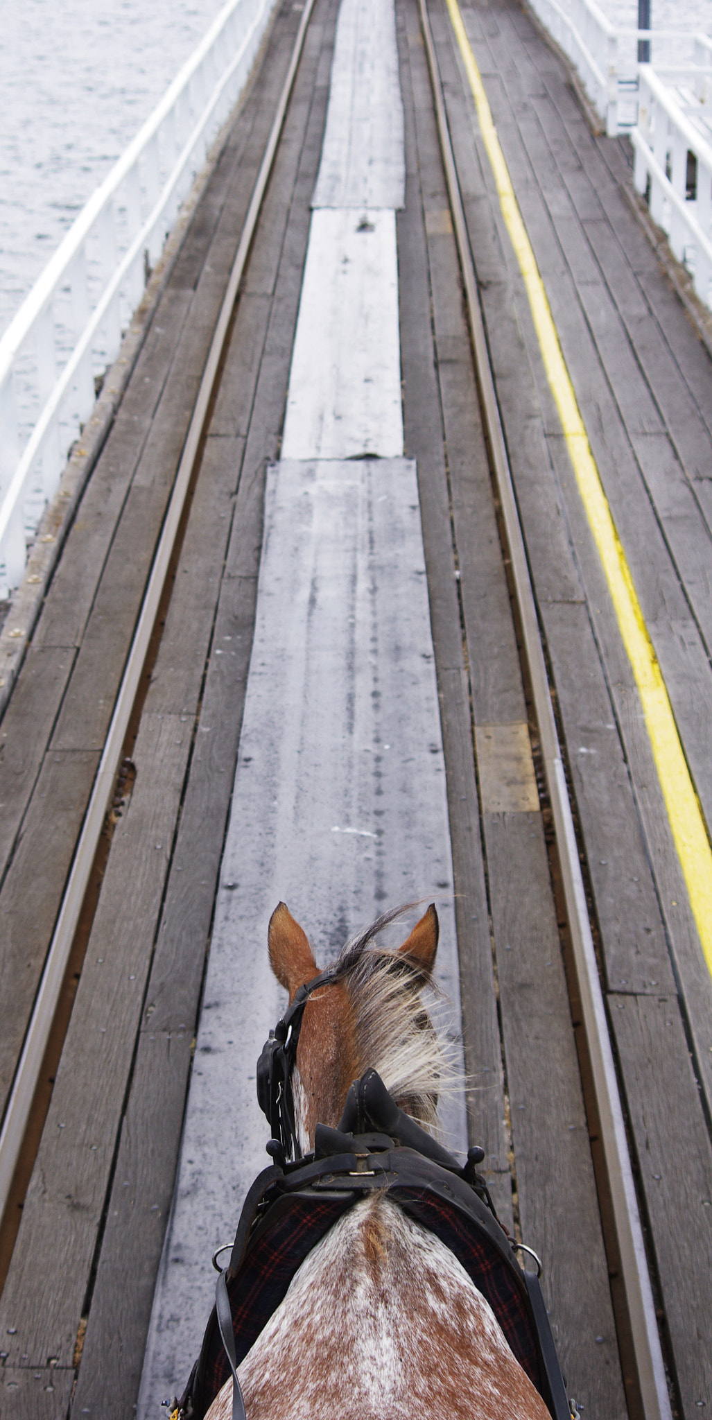 Pentax K-x sample photo. Down the line photography