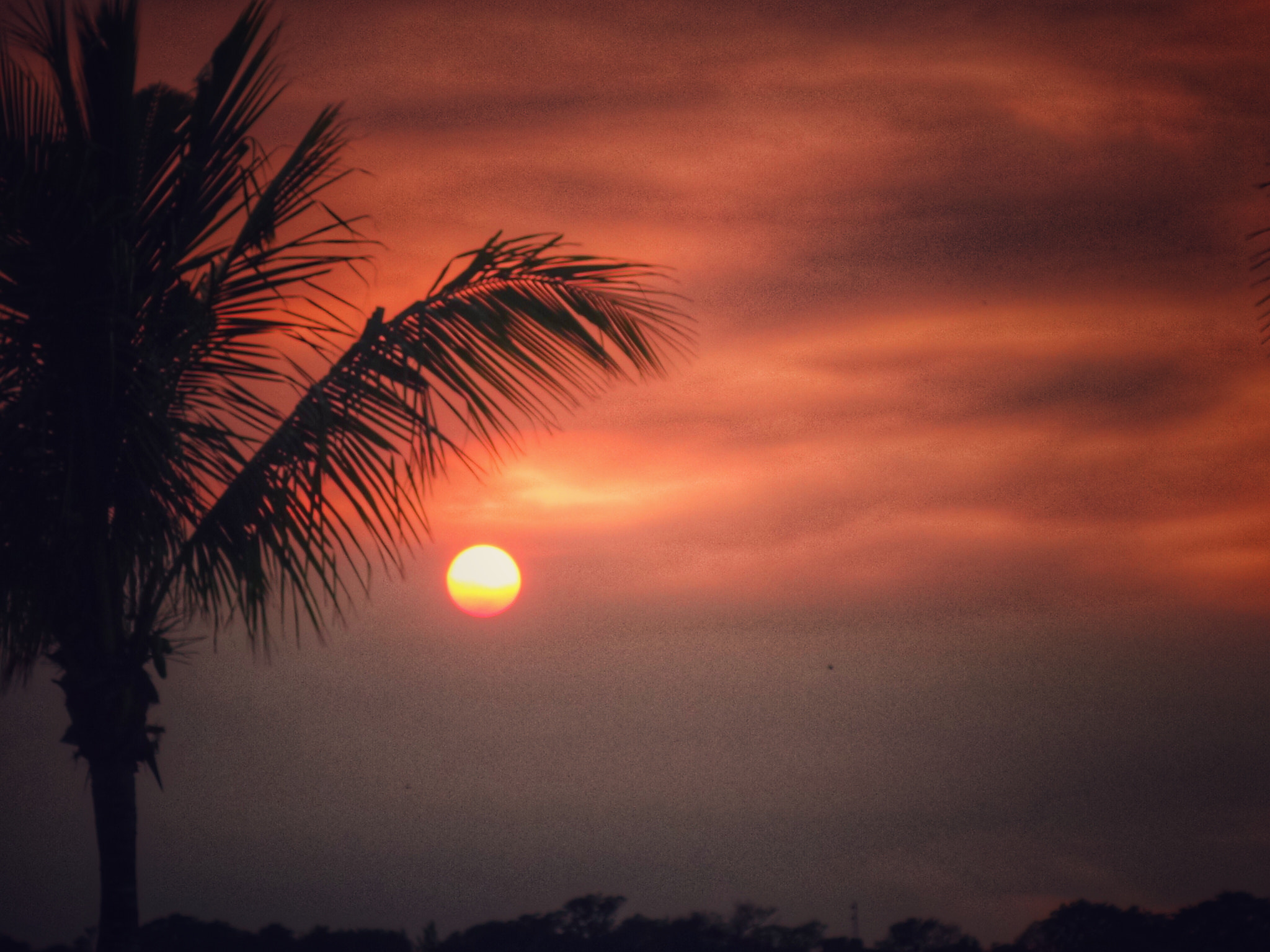 Sony 28-100mm F1.8-4.9 sample photo. Sunset silhouette photography