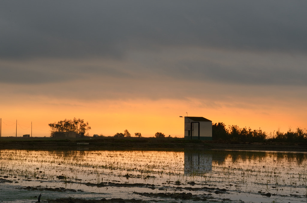 Nikon AF-S Nikkor 24-70mm F2.8G ED sample photo. Amanece photography