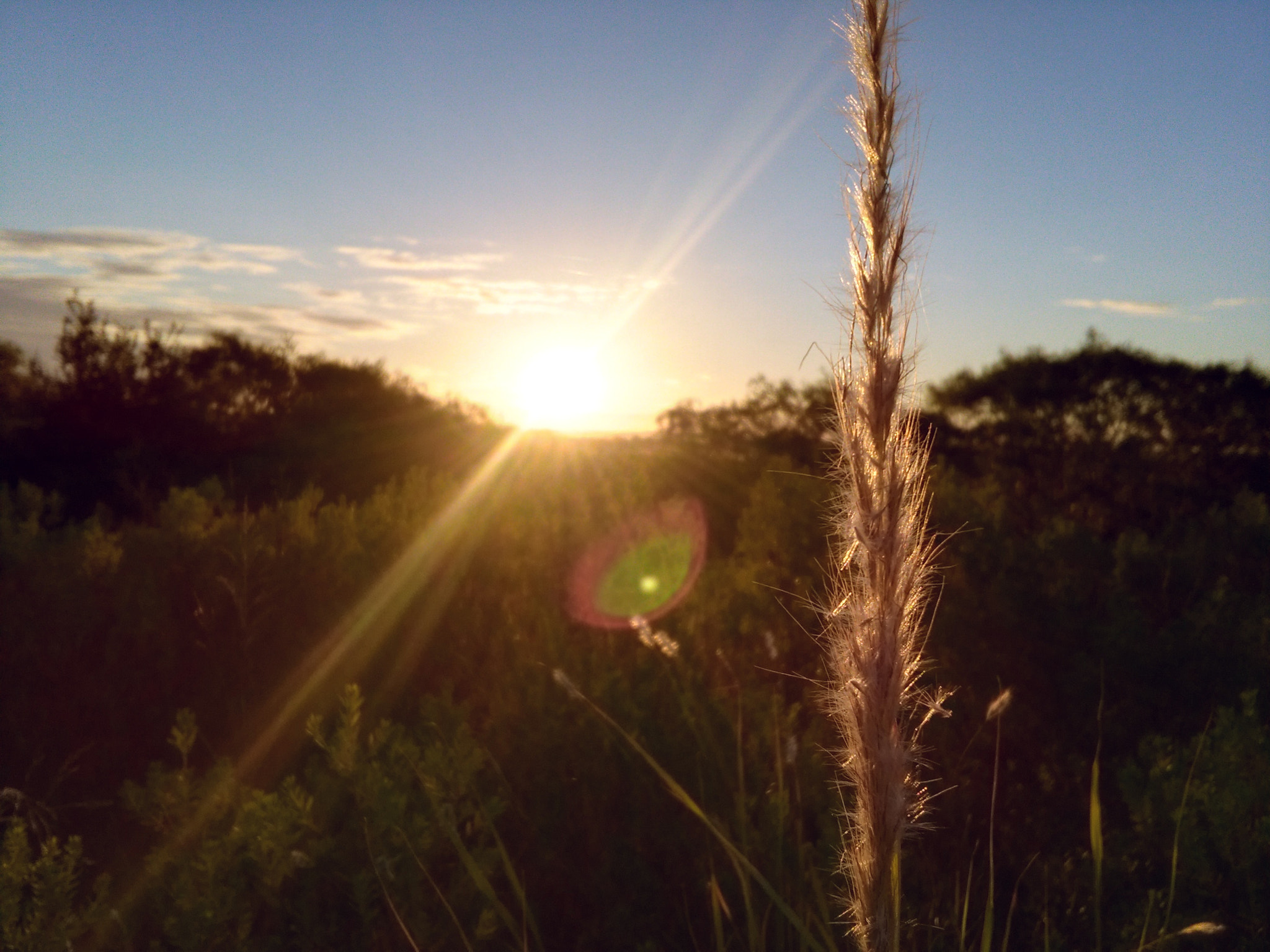 HUAWEI Y6 sample photo
