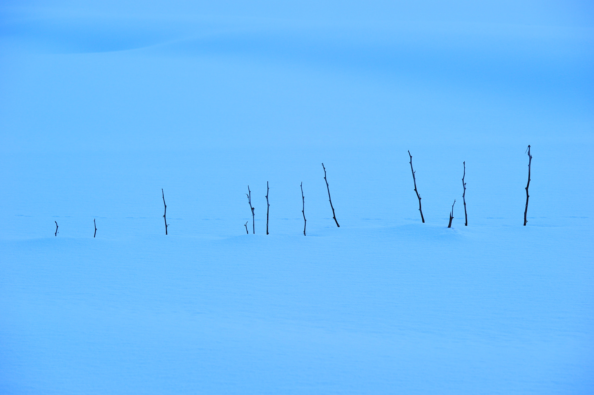 Nikon D3S sample photo. In the snow photography