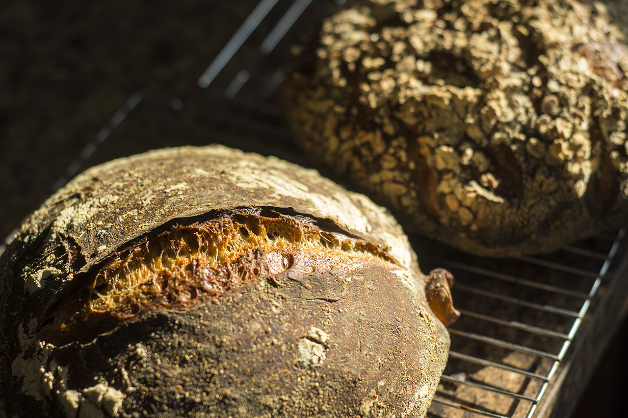 AF Nikkor 50mm f/1.8 sample photo. Whole wheat sourdough photography