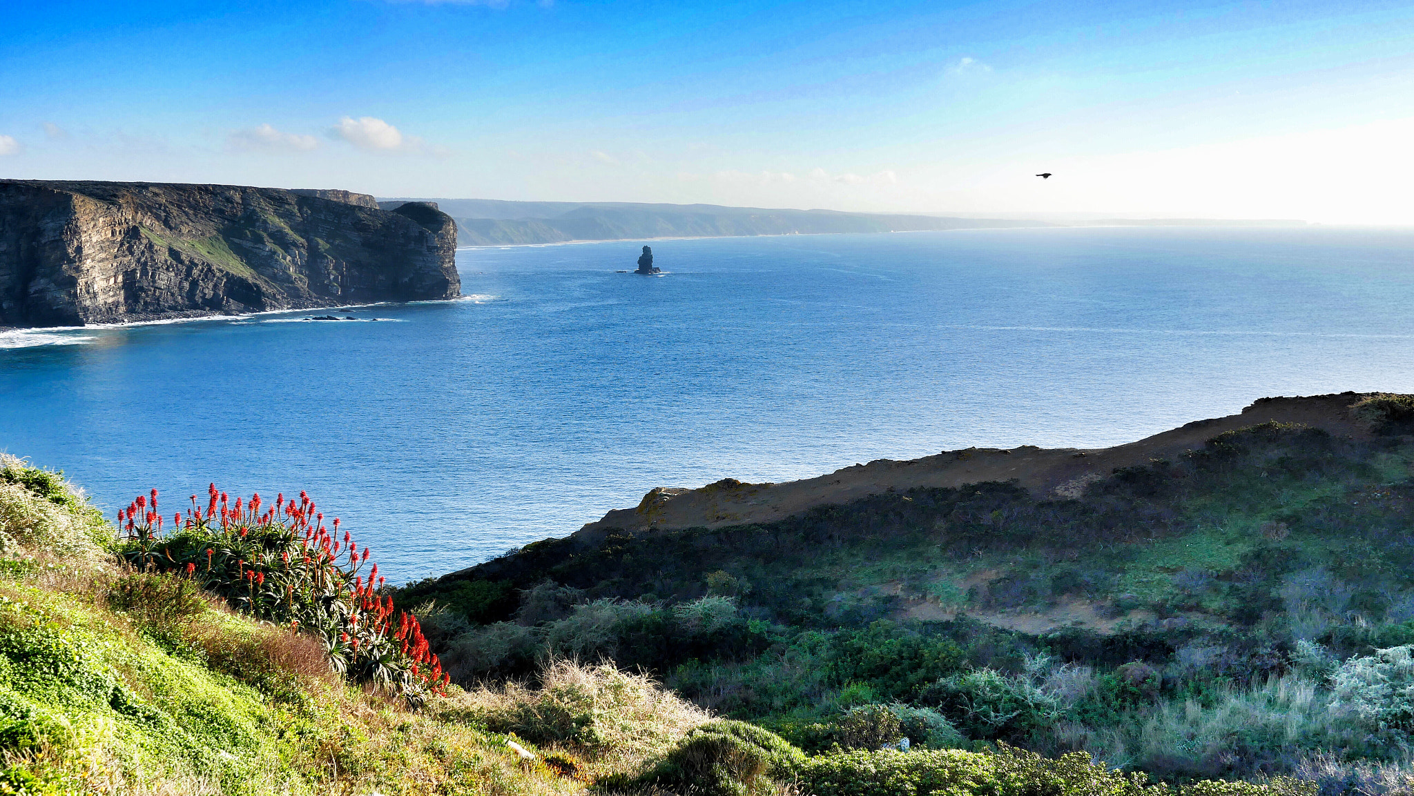 Panasonic Lumix DMC-GX8 + Panasonic Lumix G 20mm F1.7 ASPH sample photo. Algarve portugal photography