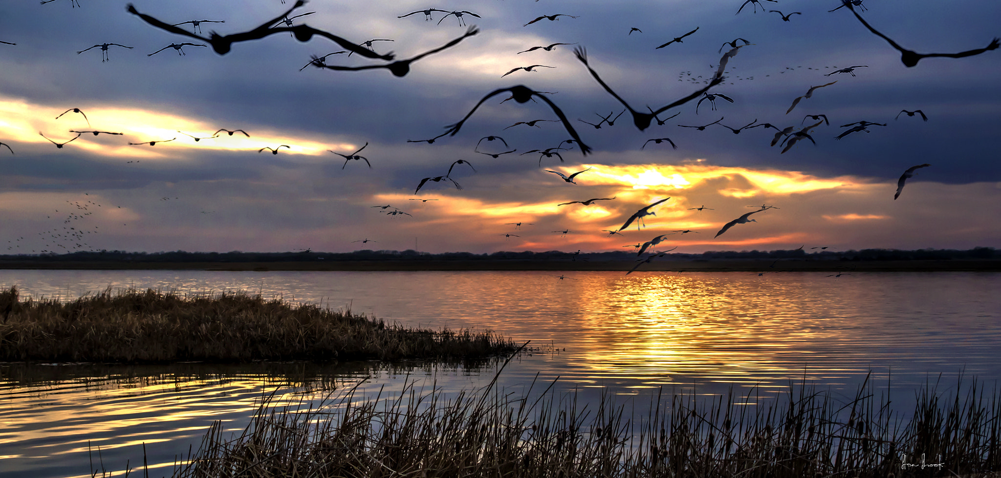 Canon EOS 7D Mark II + Canon EF 75-300mm F4.0-5.6 IS USM sample photo. Cranes at dusk photography