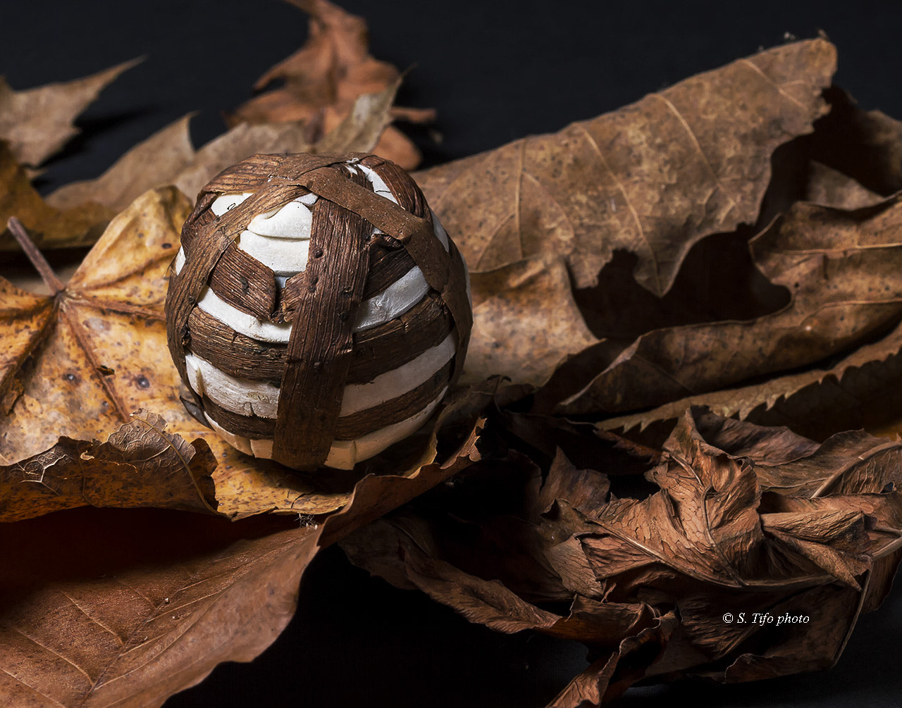 Canon EOS 7D + Sigma 105mm F2.8 EX DG OS HSM sample photo. Ball and old leaves ... photography