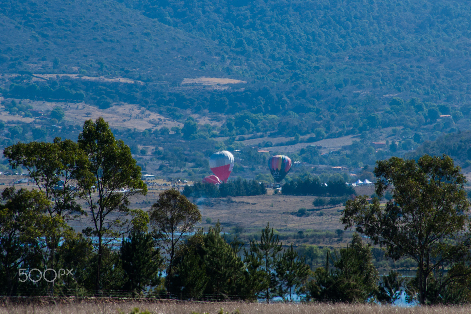 Sony Alpha DSLR-A380 sample photo. Ballons ready to fly photography