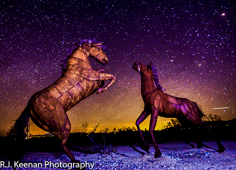 Nikon D600 + Nikon AF-S Nikkor 17-35mm F2.8D ED-IF sample photo. Horse statues during new moon photography