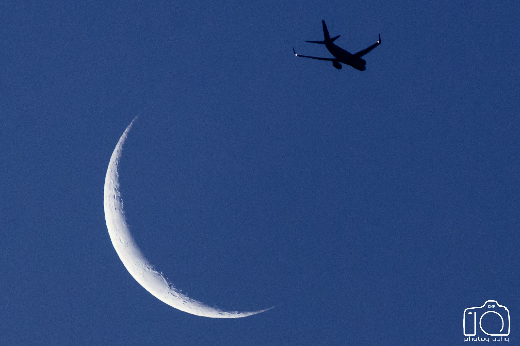 Sigma 150-600mm F5-6.3 DG OS HSM | C sample photo