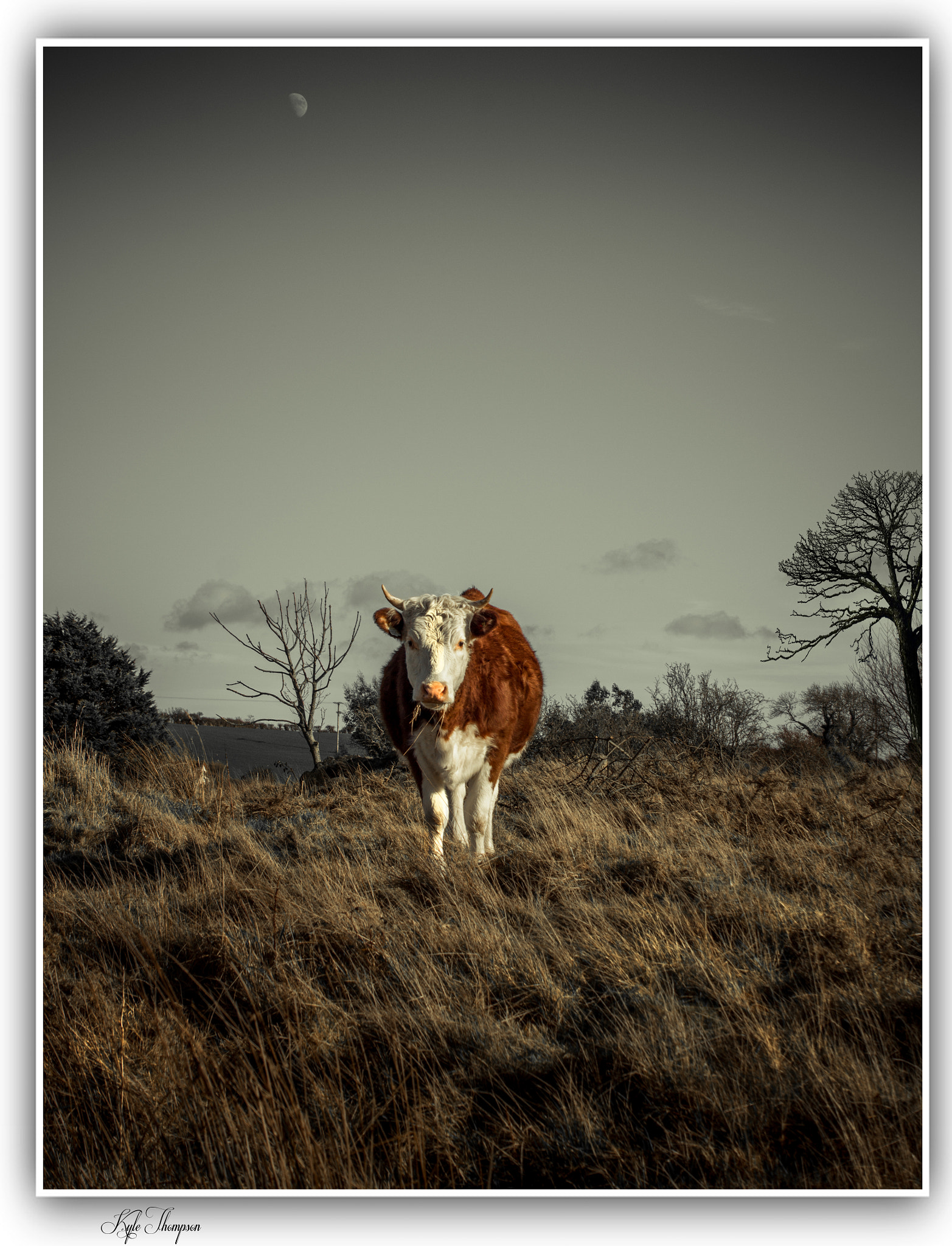 Canon EF-S 18-55mm F3.5-5.6 II sample photo. Standing my ground photography