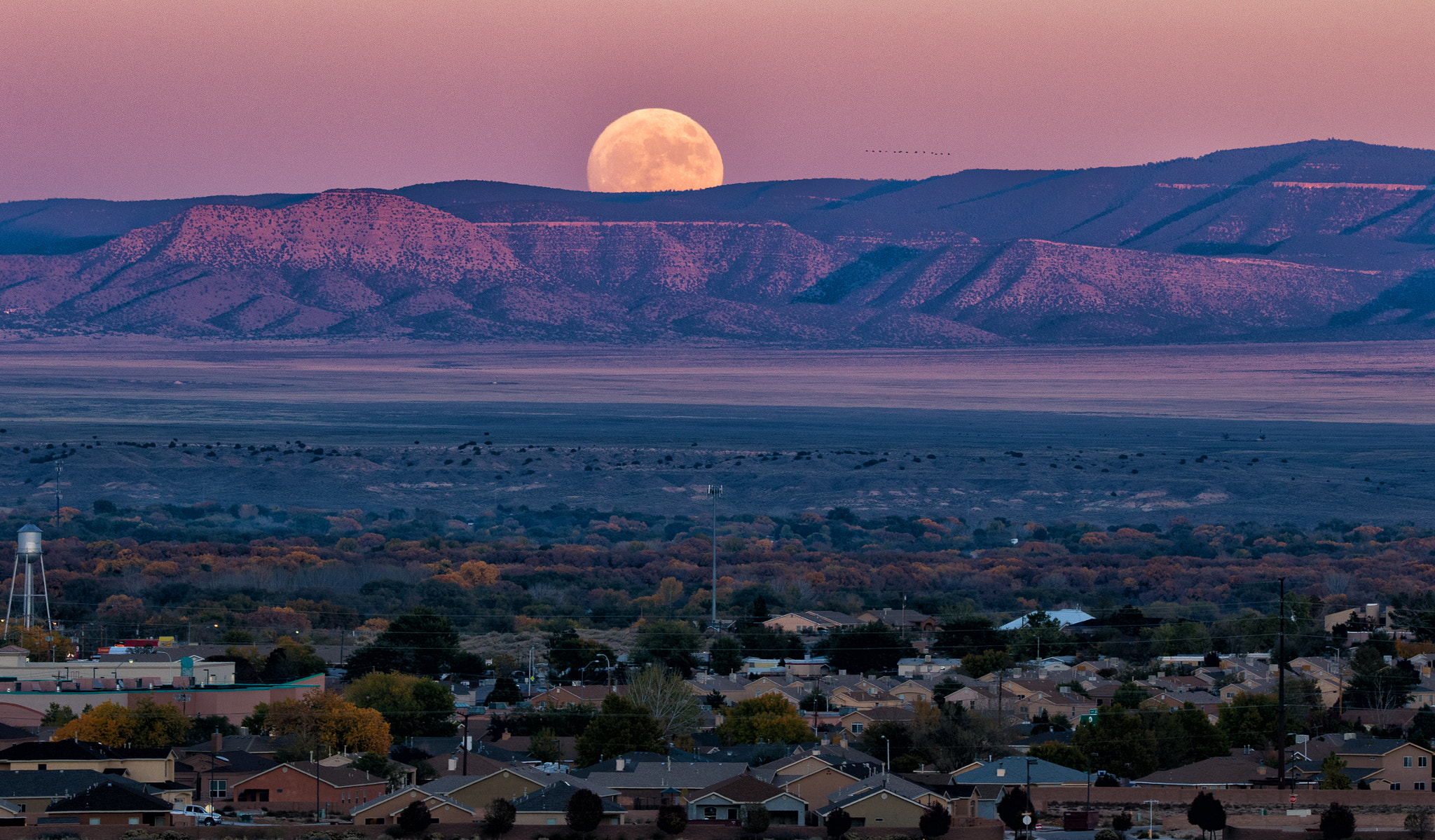 Sigma 150-600mm F5-6.3 DG OS HSM | C sample photo. Moon rising over los lunas photography
