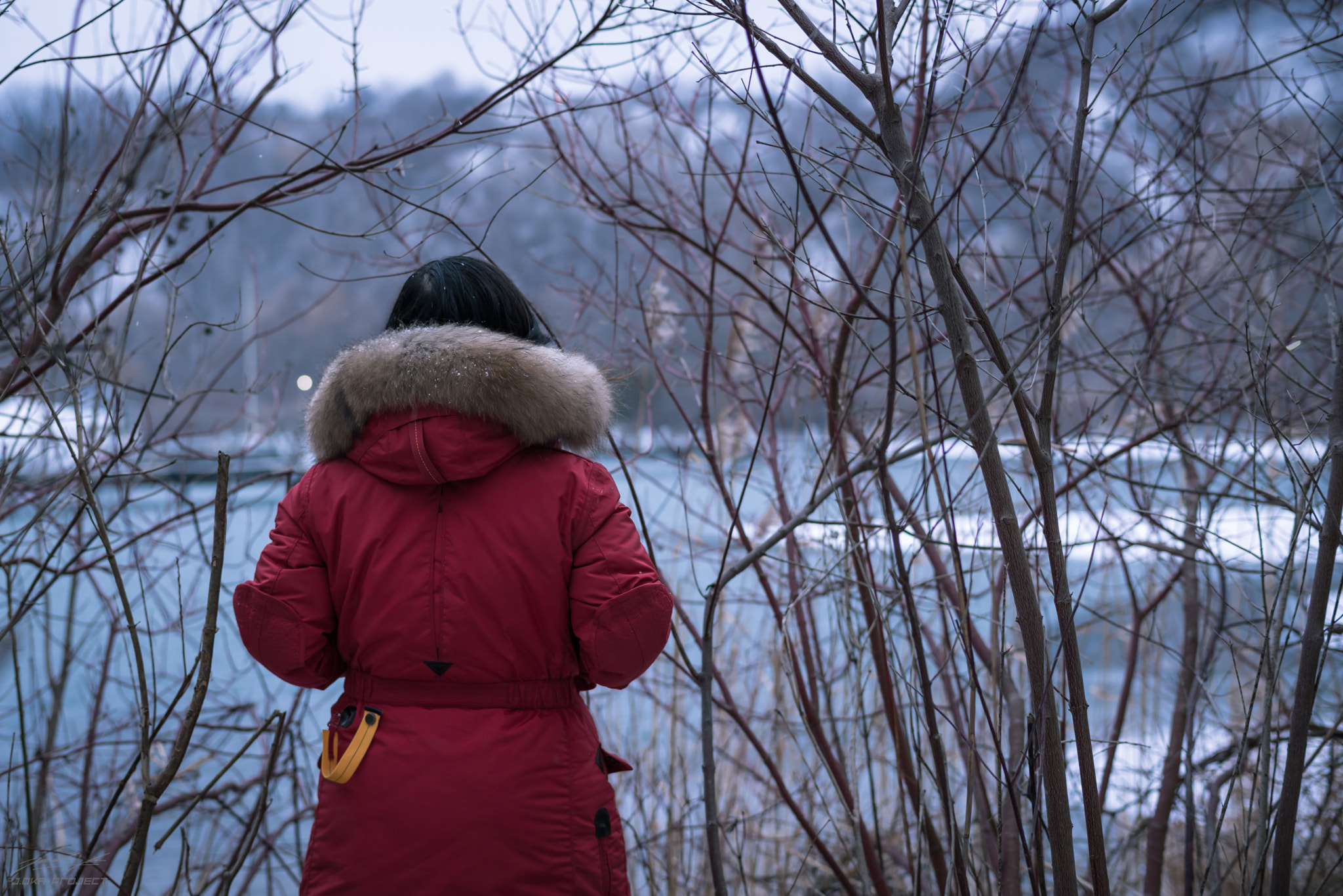 Pentax smc DA* 55mm F1.4 SDM sample photo. Winter bluff (di) photography