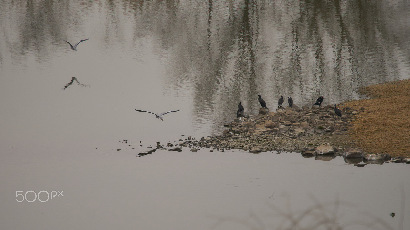 Sony FE 70-300mm F4.5-5.6 G OSS sample photo. Time to go home photography