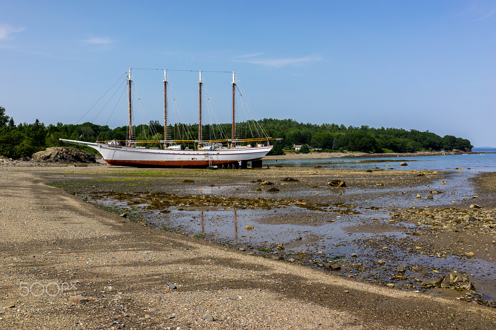 Sony a7 + E 35mm F2 sample photo. Scrubbing barnacles photography