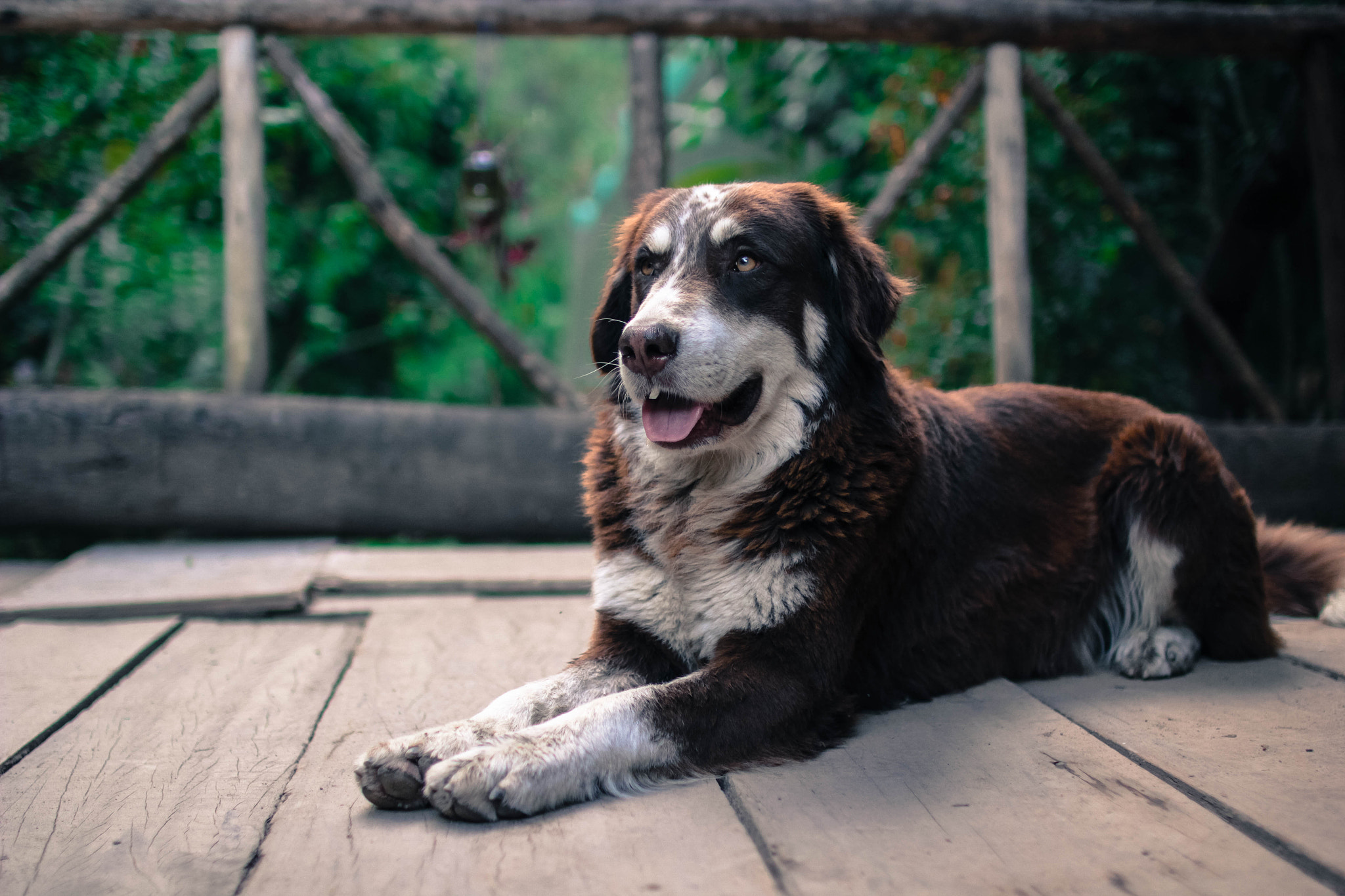 Sigma 30mm F1.4 EX DC HSM sample photo. Urubamba photography