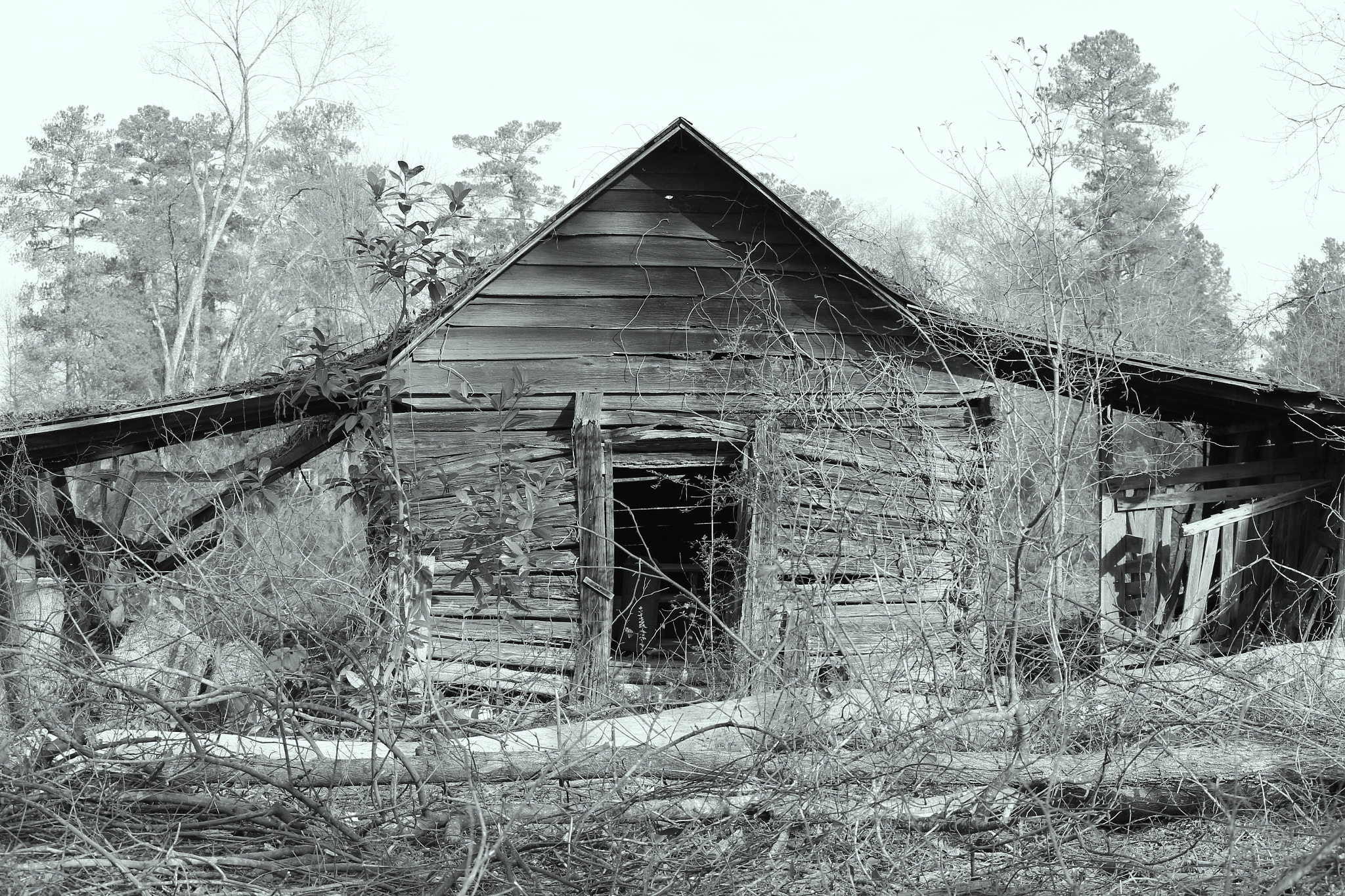 Canon EF-S 55-250mm F4-5.6 IS sample photo. Old farmhouse in north carolina photography