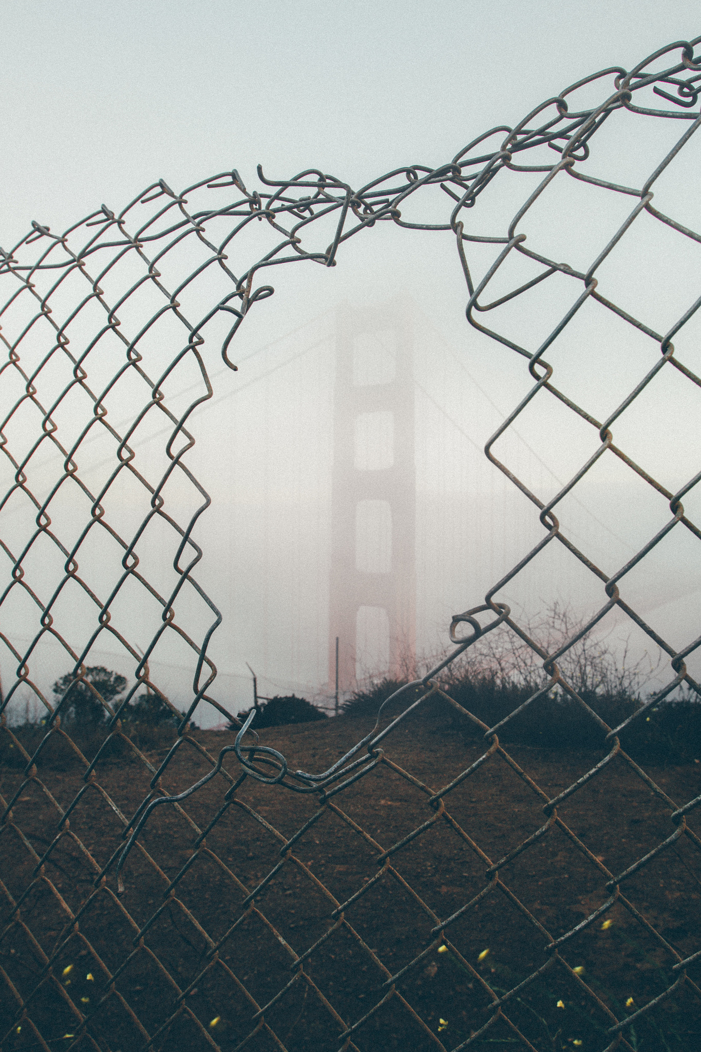 Canon EF 16-35mm F2.8L USM sample photo. Foggy morning photography