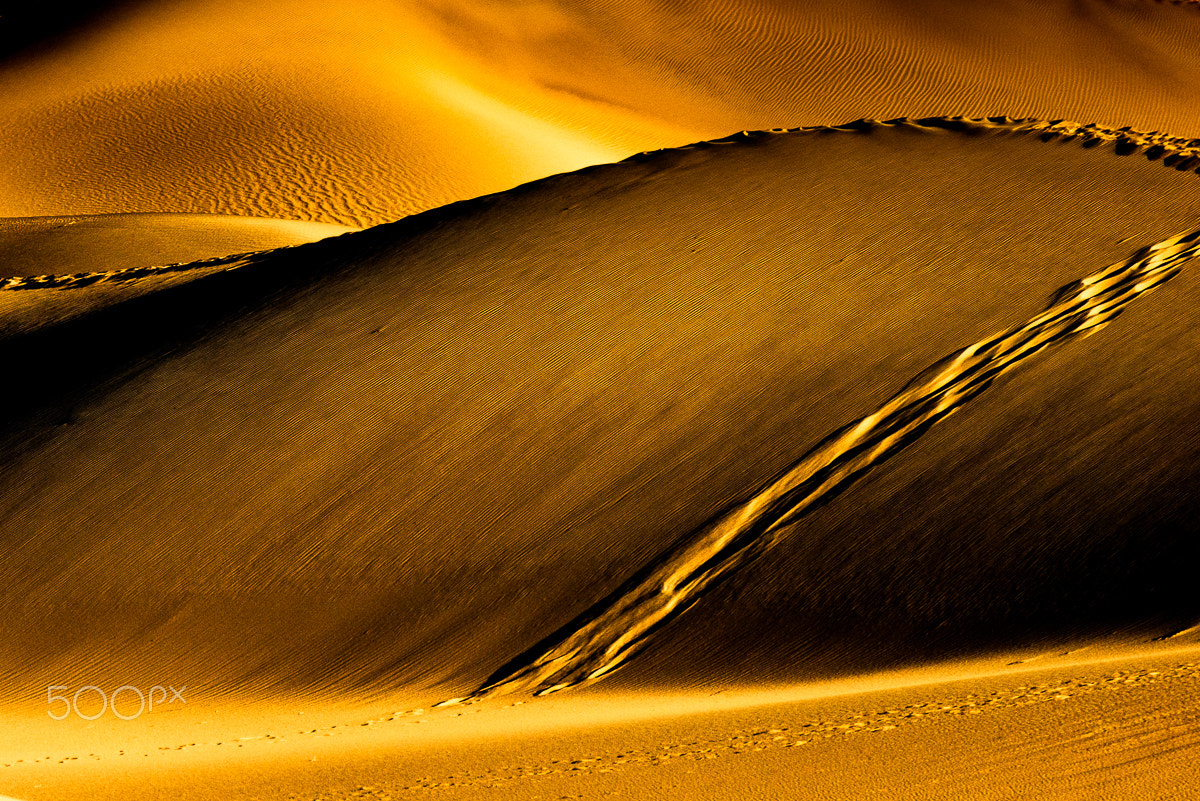 Nikon D800 sample photo. Glide photography