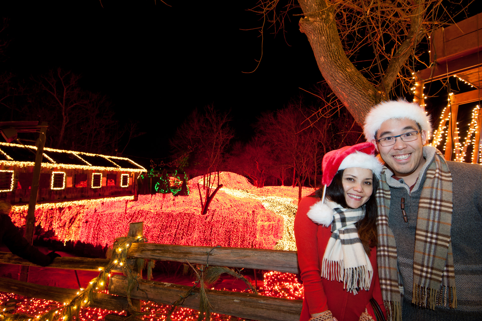 Nikon AF-S Nikkor 16-35mm F4G ED VR sample photo. Couple's christmas photography