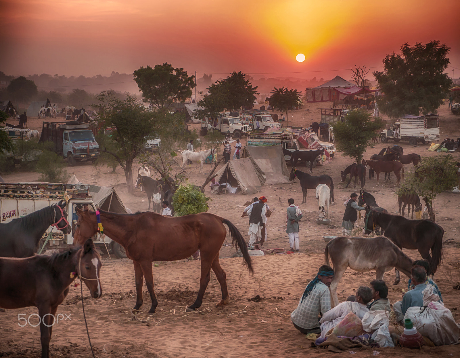 Panasonic Lumix DMC-G5 + Panasonic Lumix G X Vario 12-35mm F2.8 ASPH Power OIS sample photo. Horse traders photography