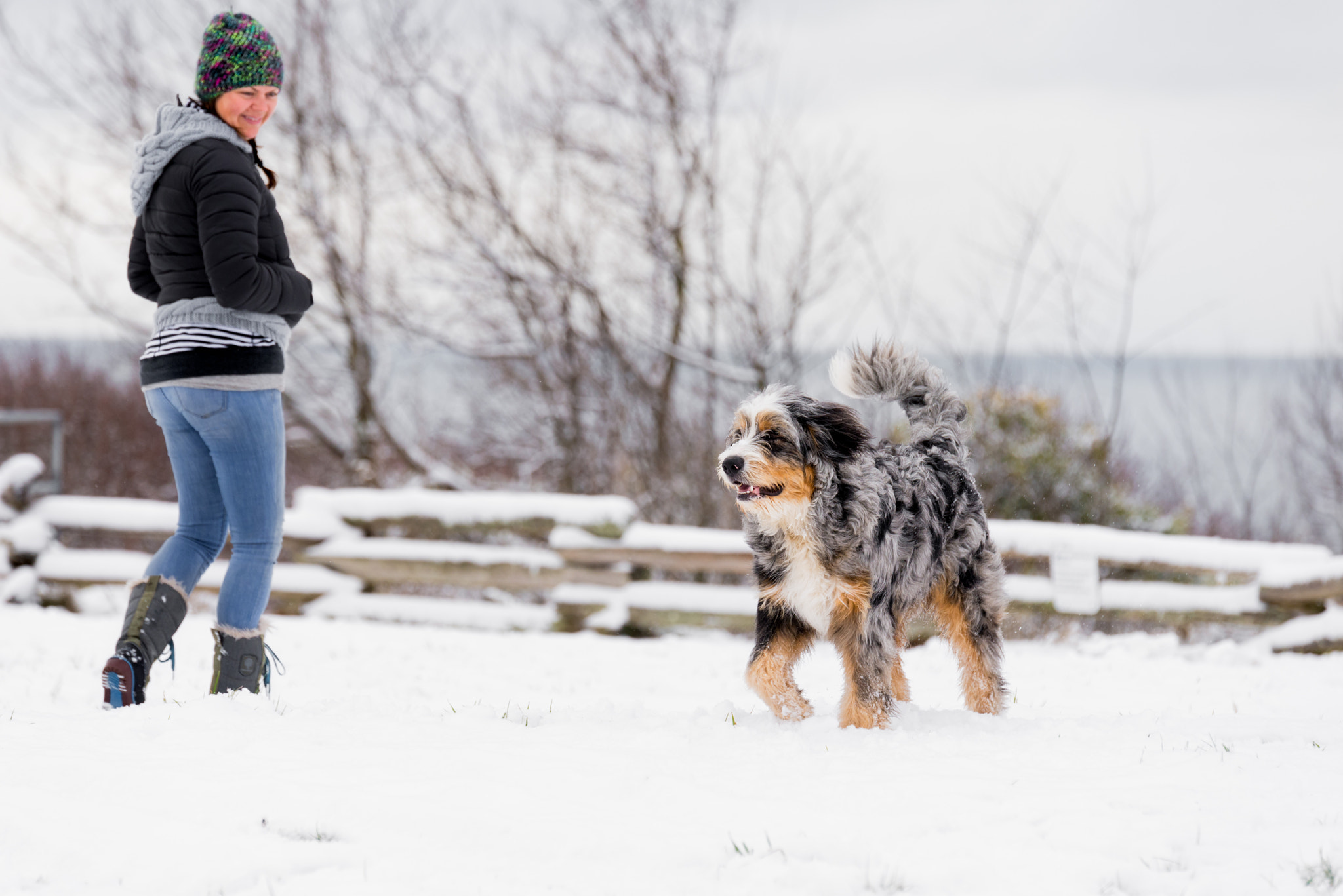 Tamron SP 70-200mm F2.8 Di VC USD sample photo. Snow fun! photography