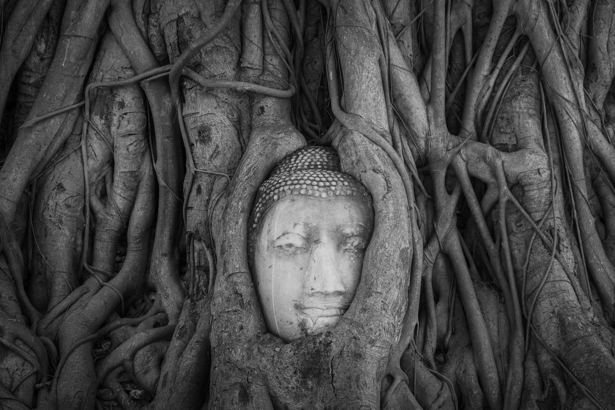 Fujifilm XC 16-50mm F3.5-5.6 OIS II sample photo. Buddha photography