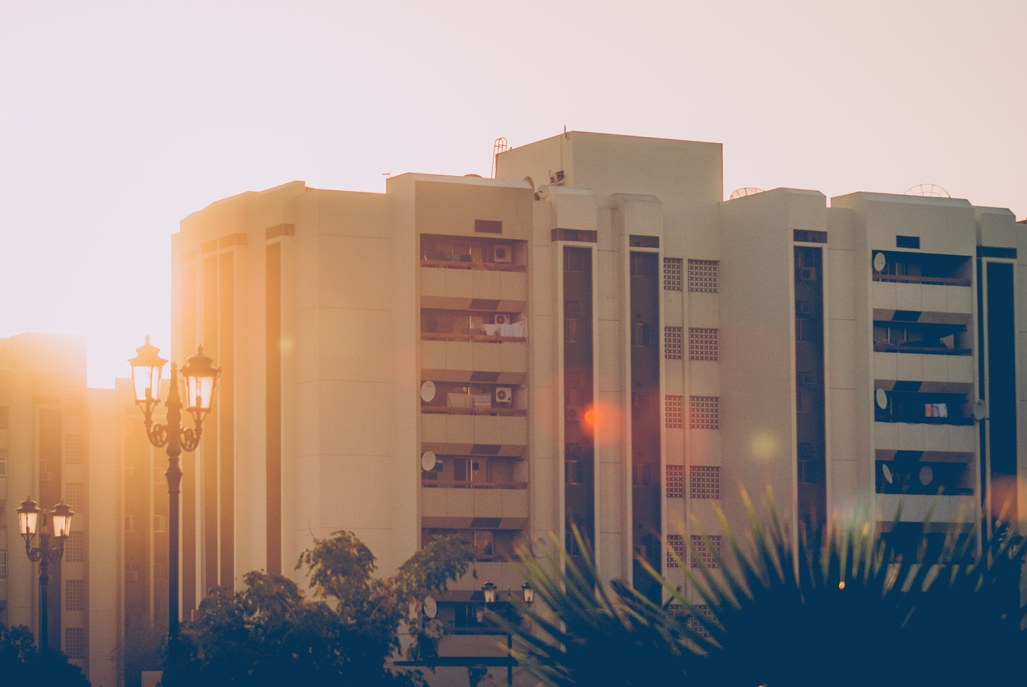 Sony 75-300mm F4.5-5.6 sample photo. Morning sunshine photography