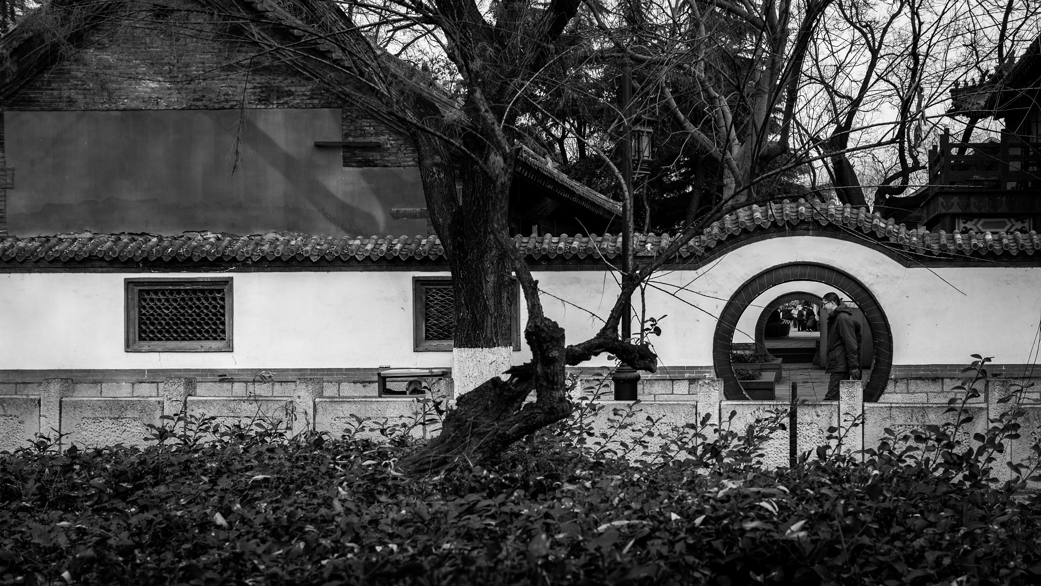Canon EF-S 24mm F2.8 STM sample photo. In and out photography