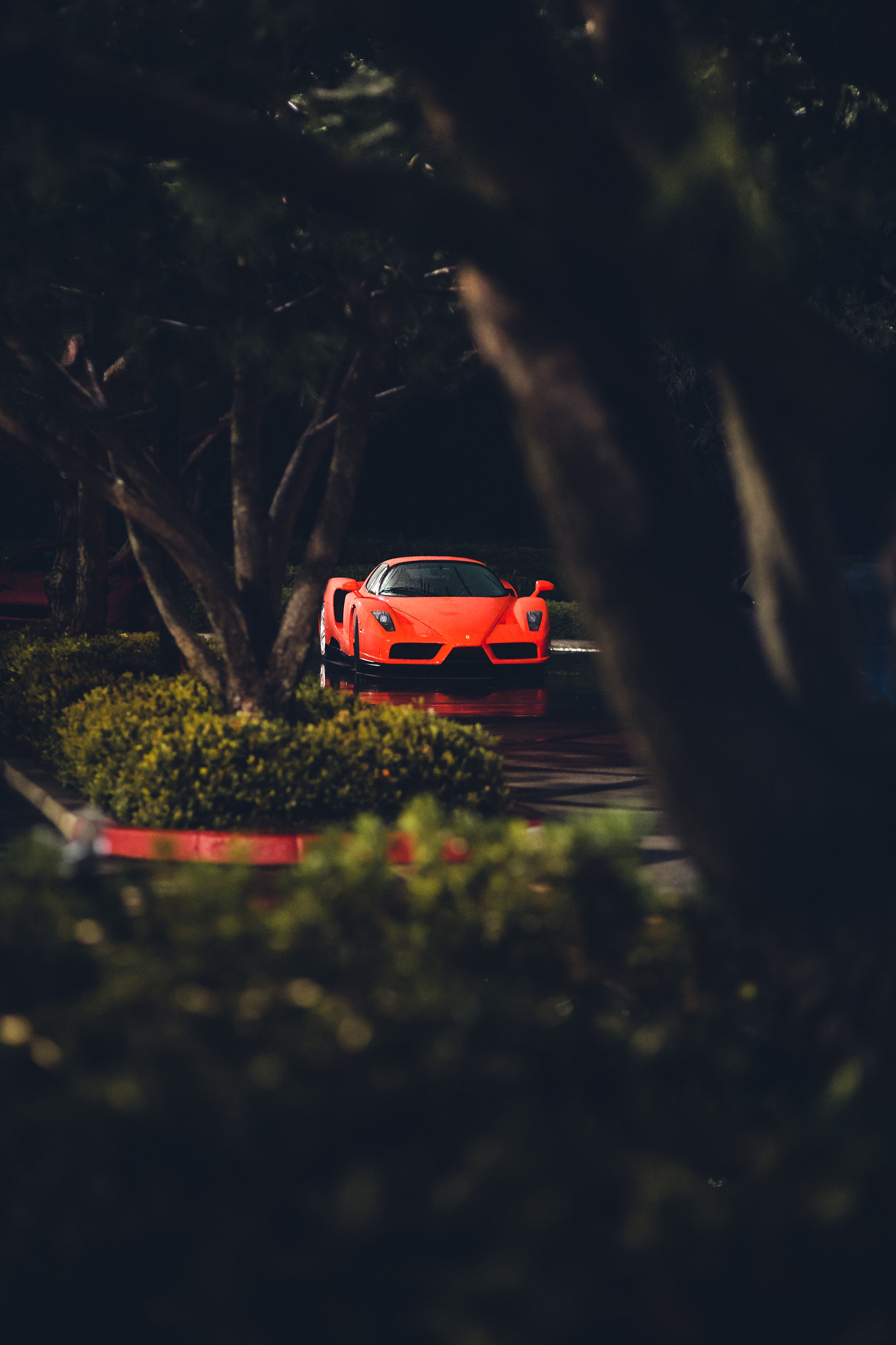 Sigma 85mm F1.4 EX DG HSM sample photo. Edit photography