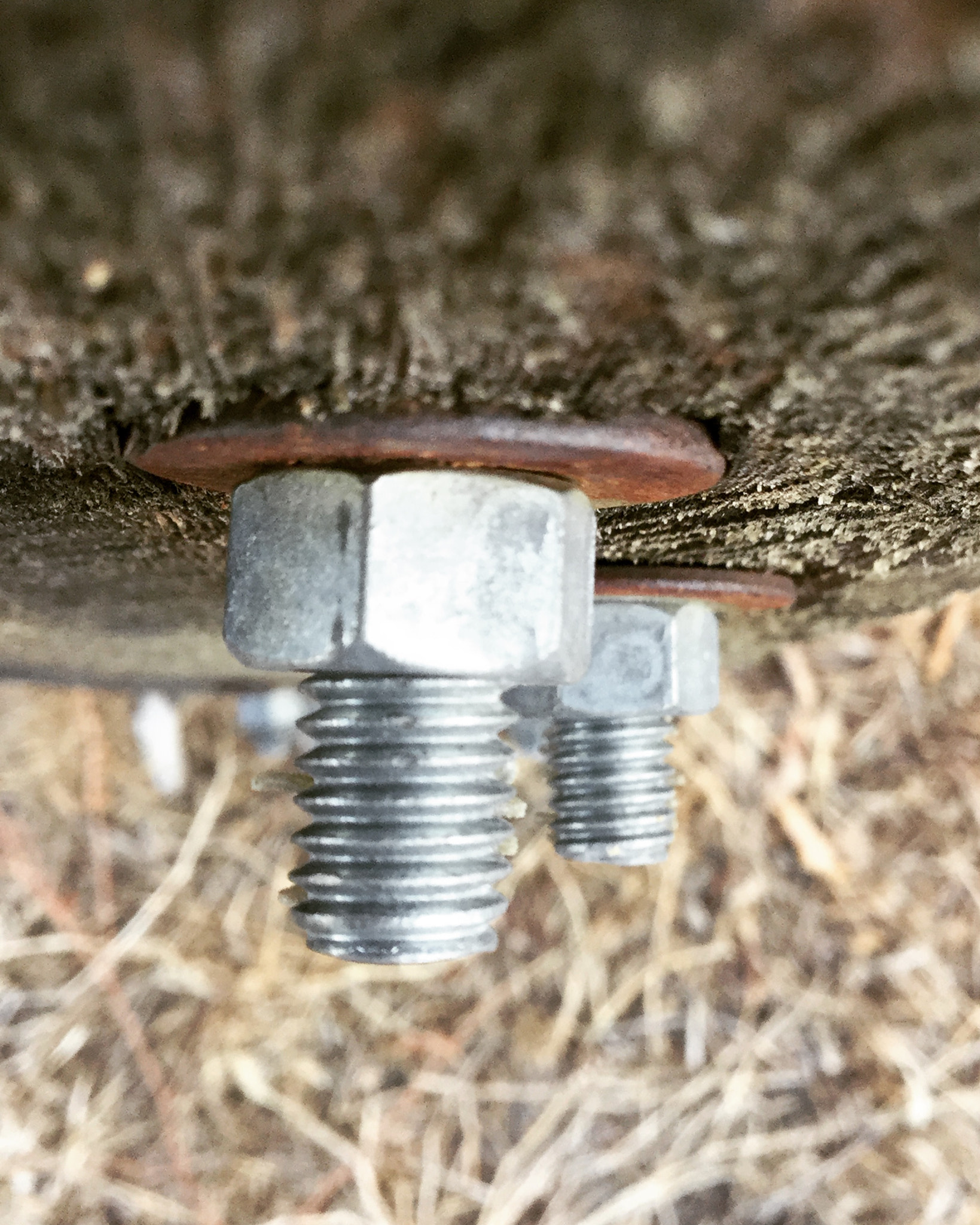 Apple iPad5,3 sample photo. Closeup of a fence post. photography