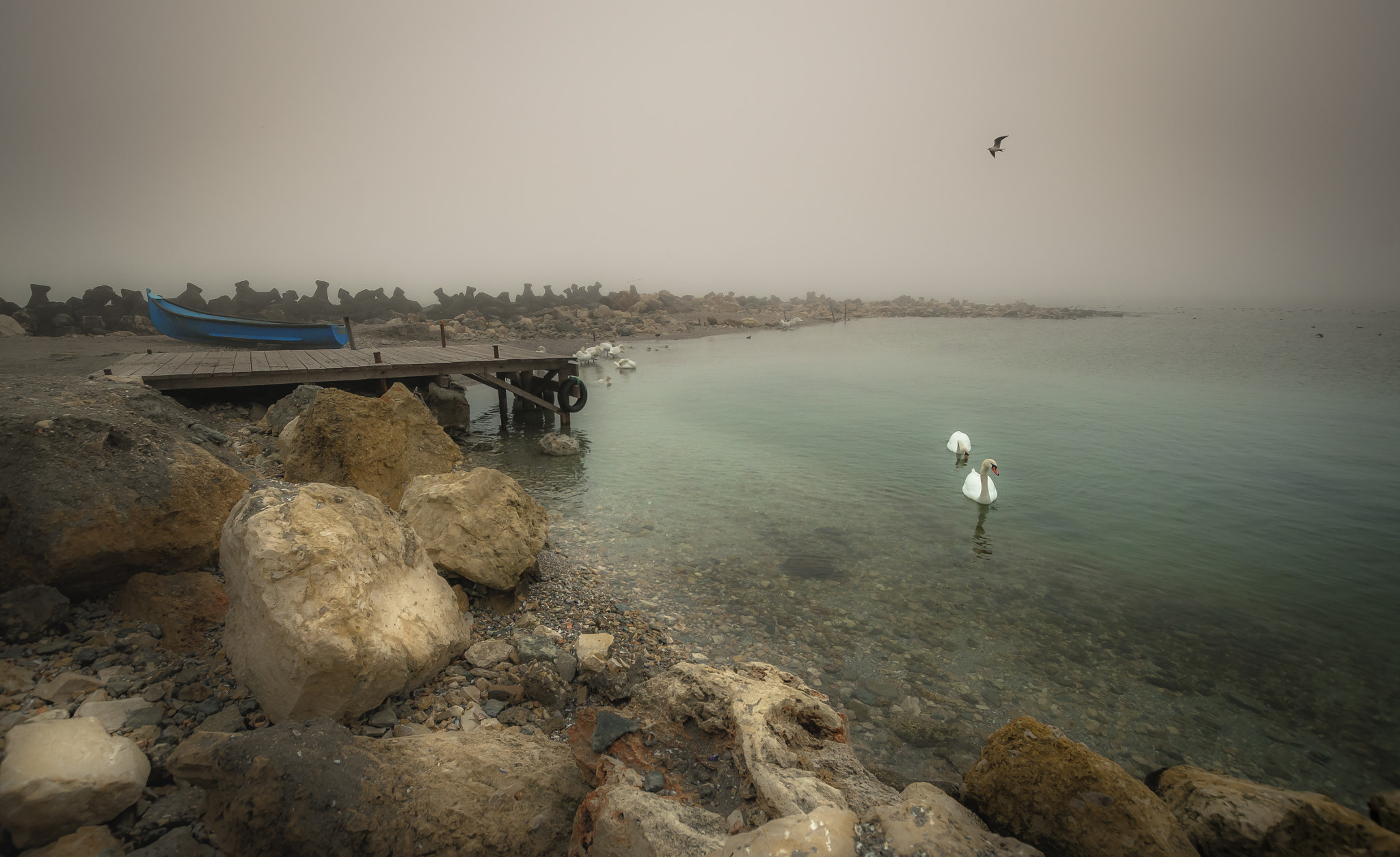 Nikon D7000 + Sigma 10-20mm F3.5 EX DC HSM sample photo. Foggy day photography