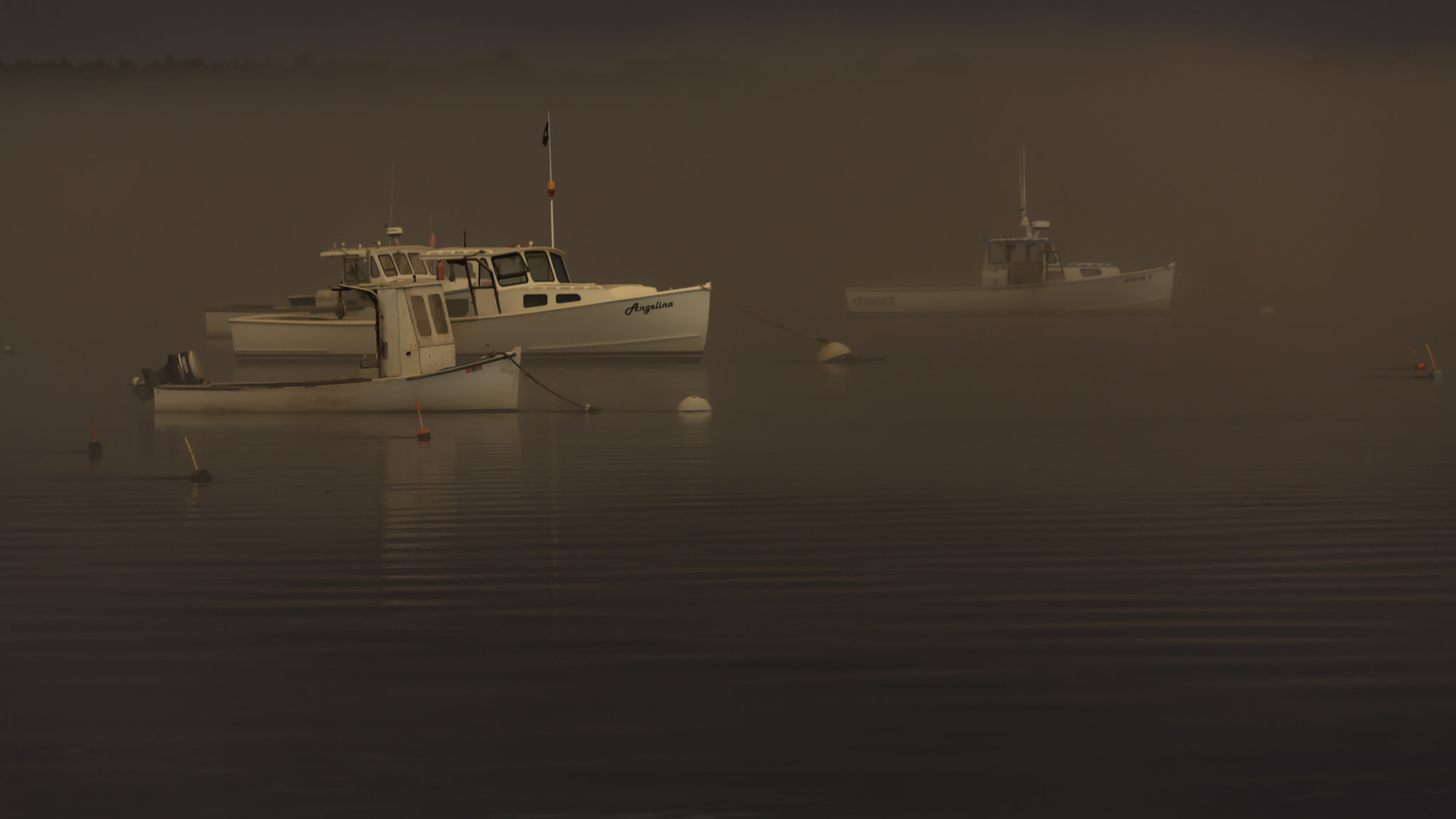 Canon EOS 450D (EOS Rebel XSi / EOS Kiss X2) sample photo. Foggy sunset photography