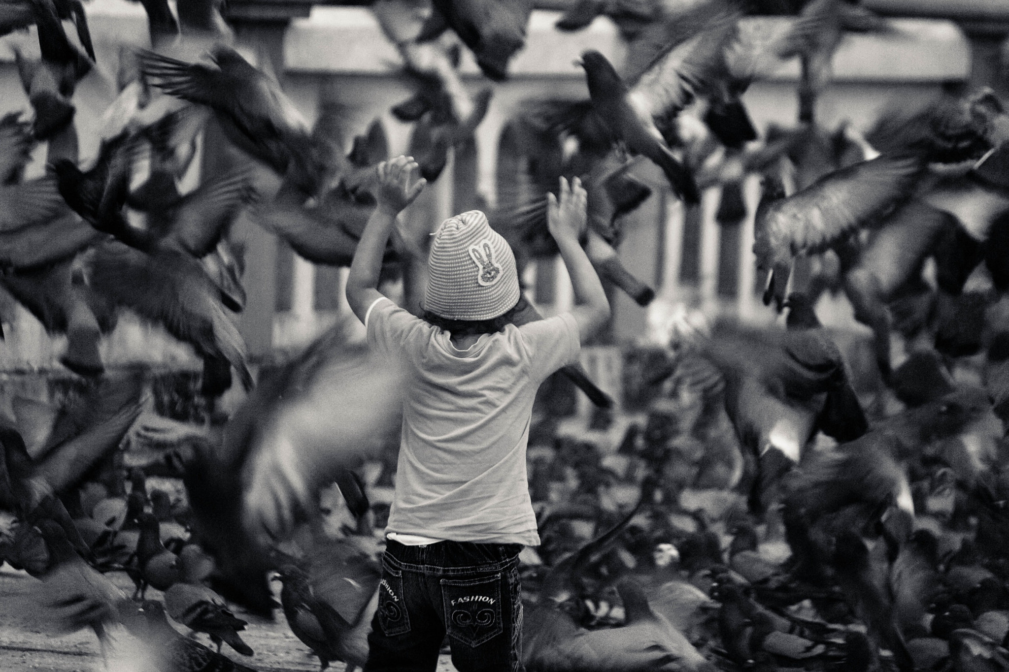 Canon EOS 550D (EOS Rebel T2i / EOS Kiss X4) sample photo. Playful: time with pigeons  photography