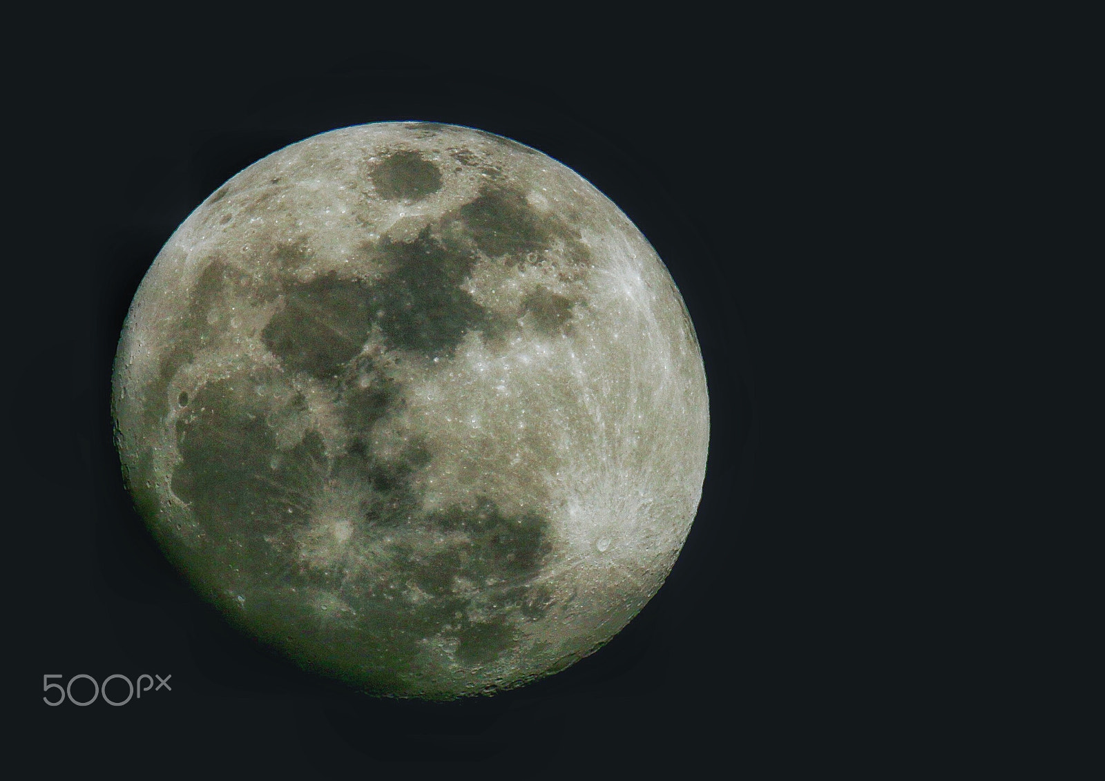 Sigma 150mm f/2.8 EX DG OS HSM APO Macro sample photo. Took this photo tonight... photography