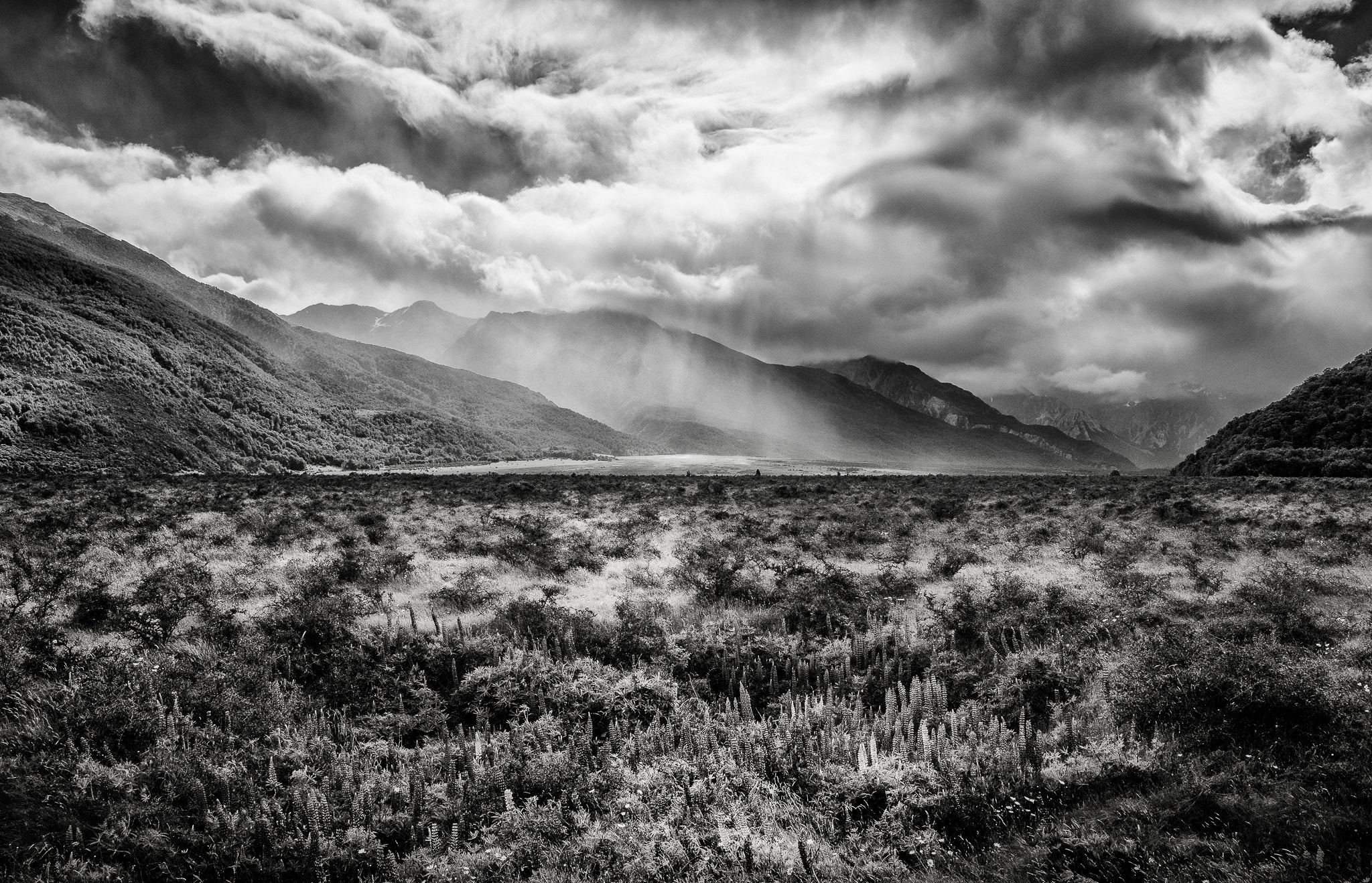 Nikon D5500 sample photo. Waimakariri river flats 2 photography