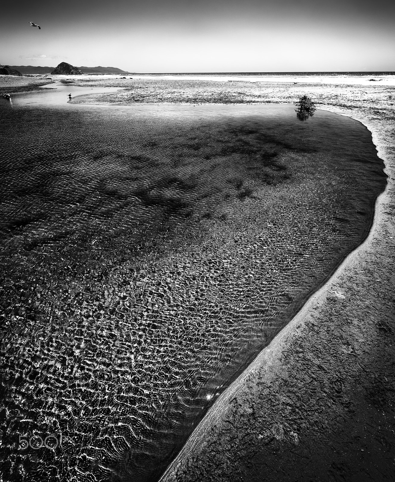 Voigtlander SUPER WIDE-HELIAR 15mm F4.5 III sample photo. Flowing out photography