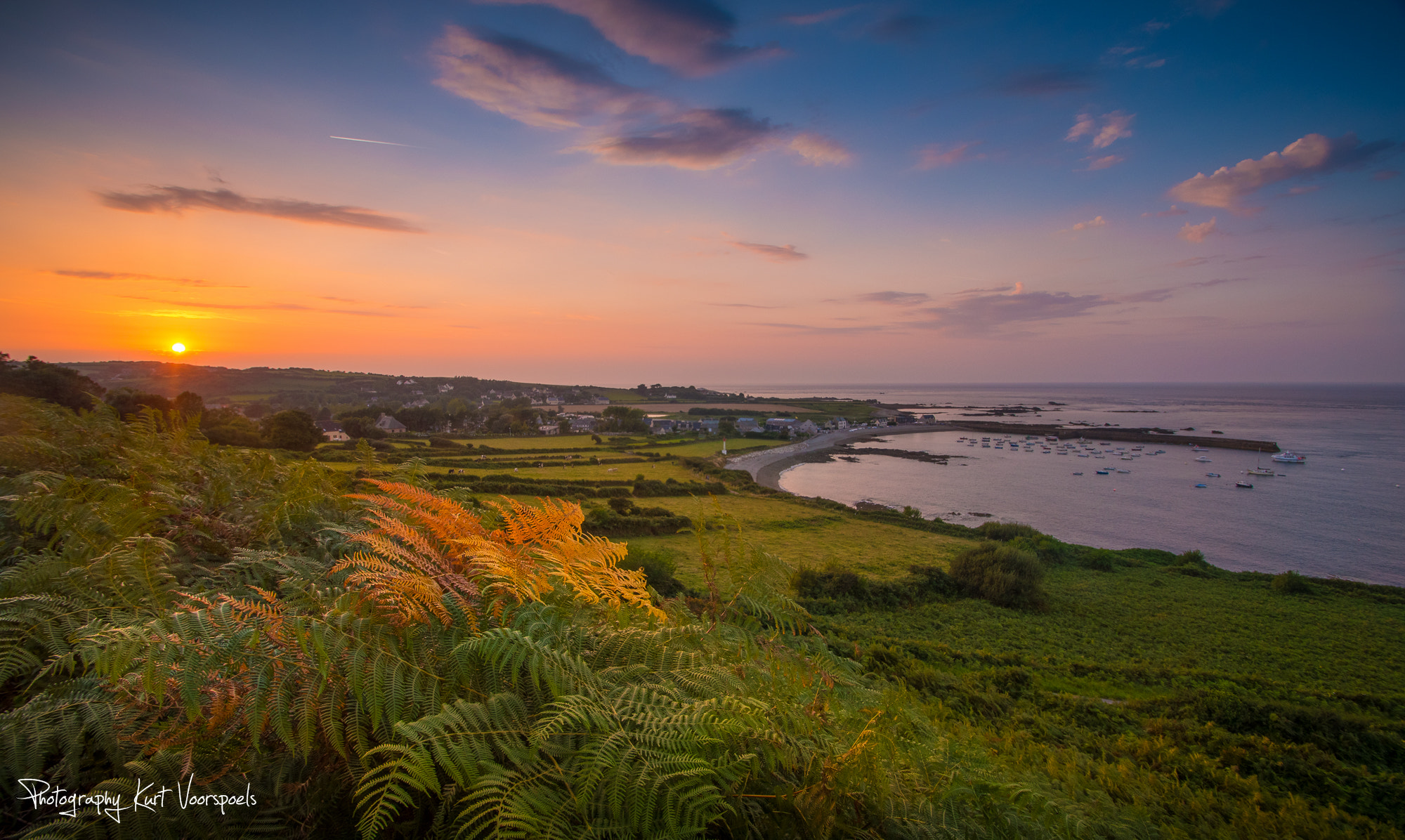 Nikon D5500 sample photo. The orange fern landscape photography