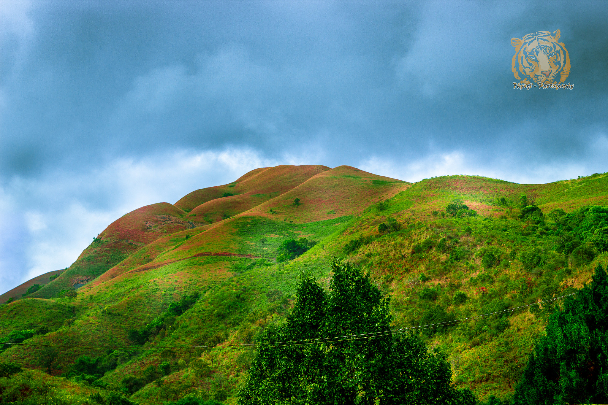 Canon EOS 600D (Rebel EOS T3i / EOS Kiss X5) sample photo. Kudremukh photography