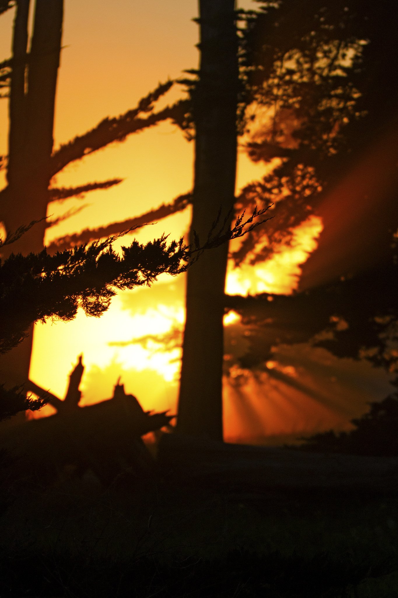Canon EF 70-200mm F2.8L IS II USM sample photo. Sunset on fire photography