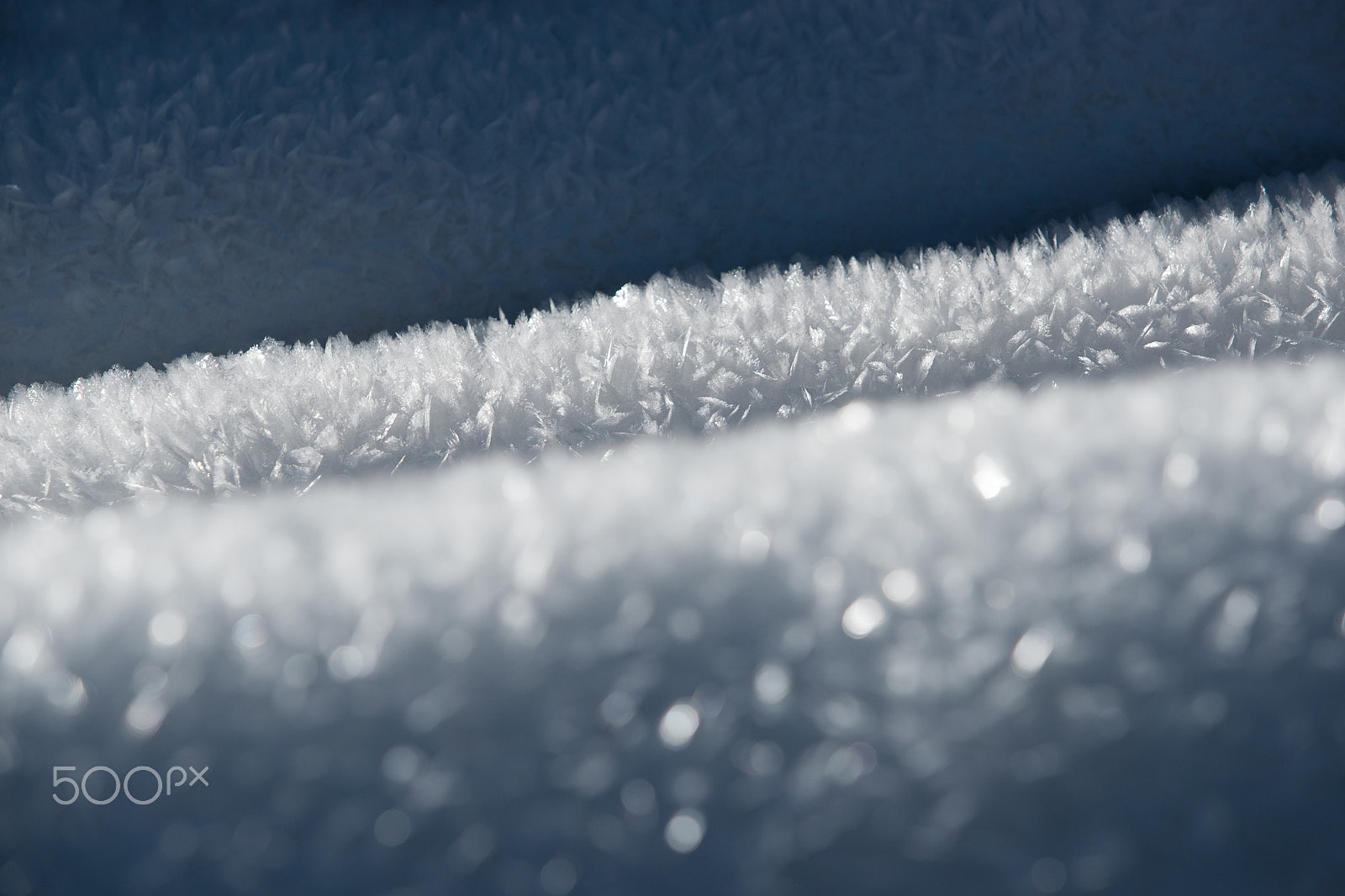 Sony Alpha DSLR-A900 sample photo. White frost (7) photography