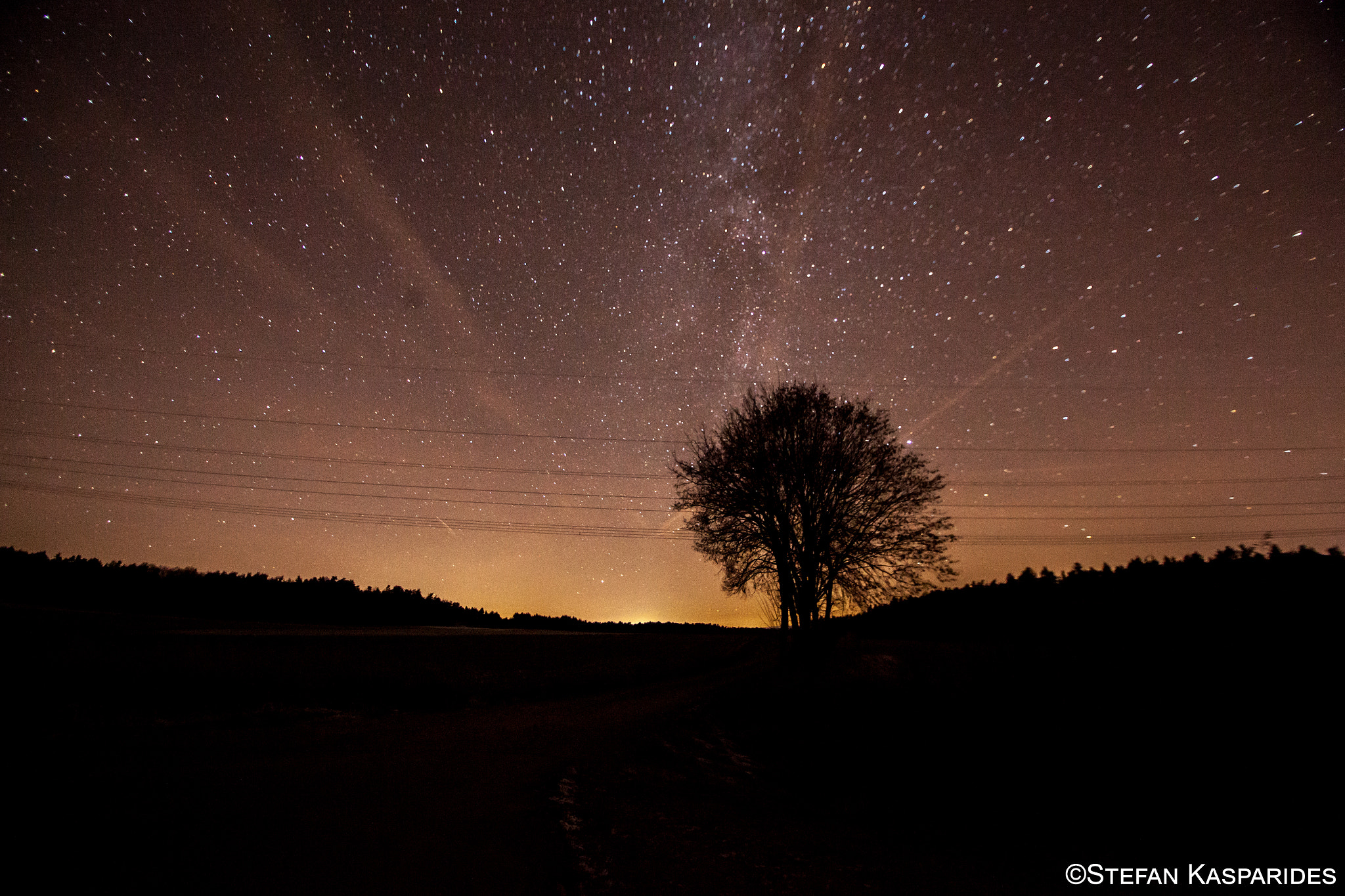 Sigma 10-20mm F3.5 EX DC HSM sample photo. Milky tree photography